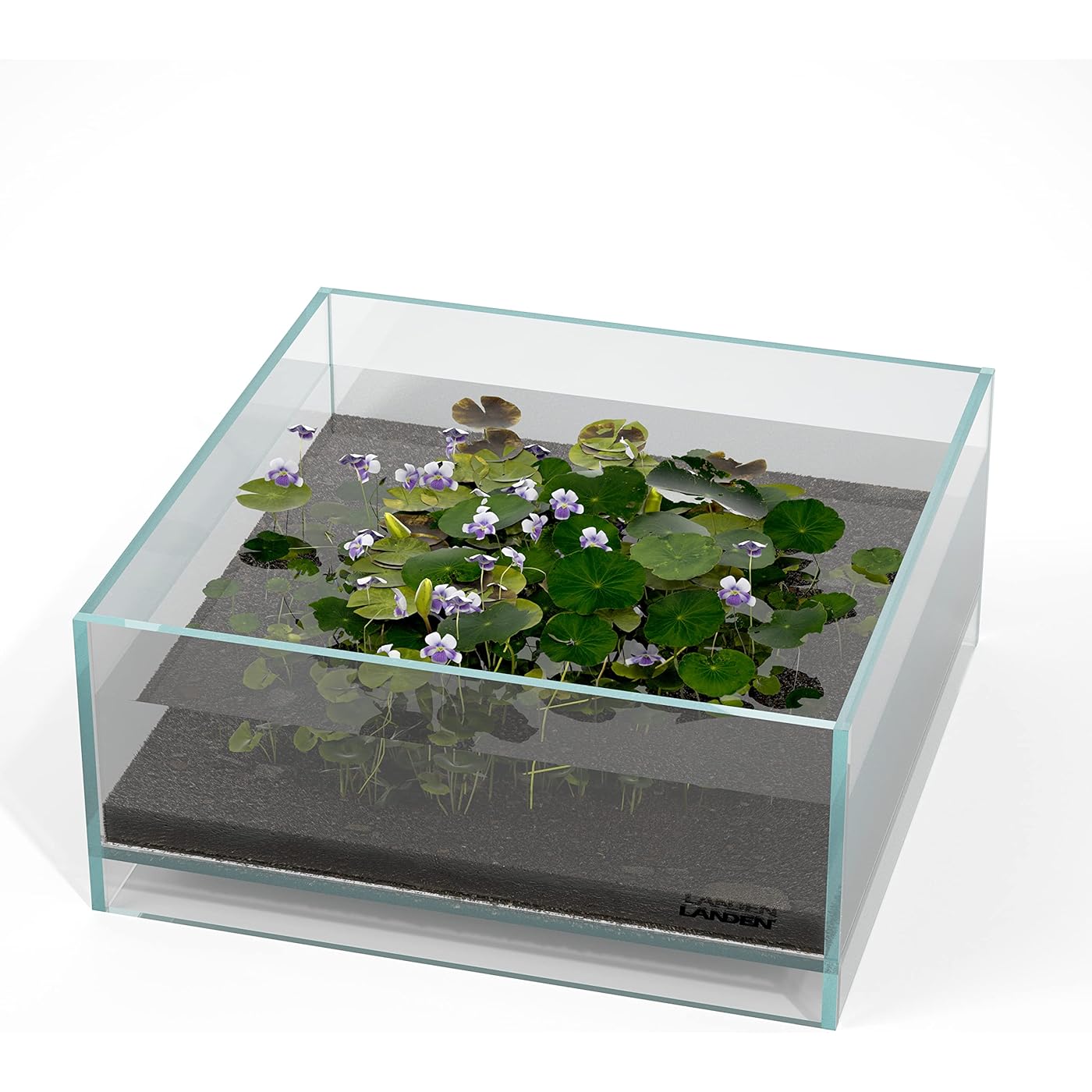 Gallery image 1