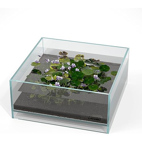 LANDEN Glass Air Aquarium Tank Multi-Scene Landscape Aquarium, 1.6Gallon Rimless Low Iron Shallow Tank,10.63" W×10.63" D×4.72" H (27cmx27cmx12cm) 5mm Thickness