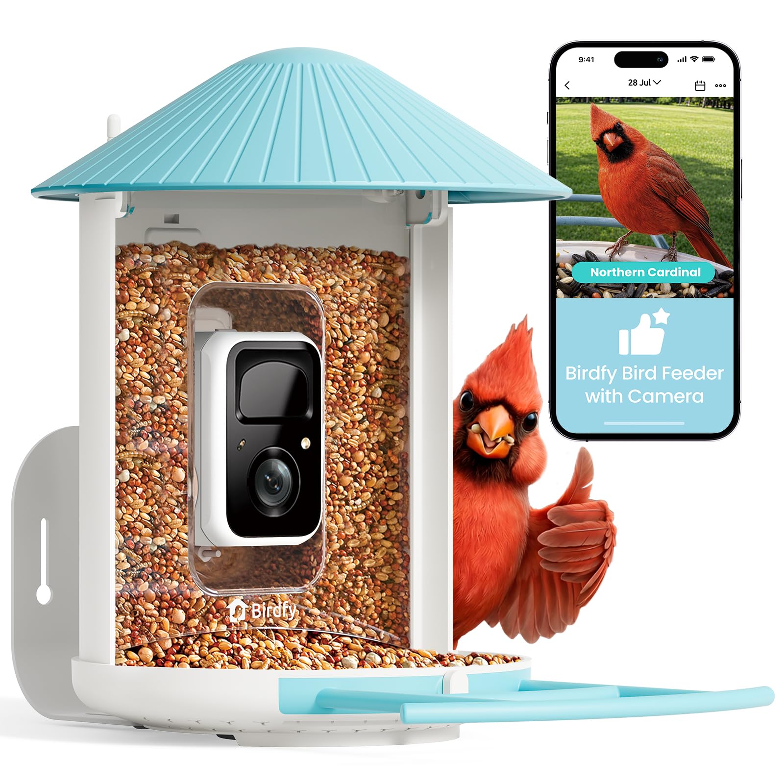 NETVUE Birdfy Feeder