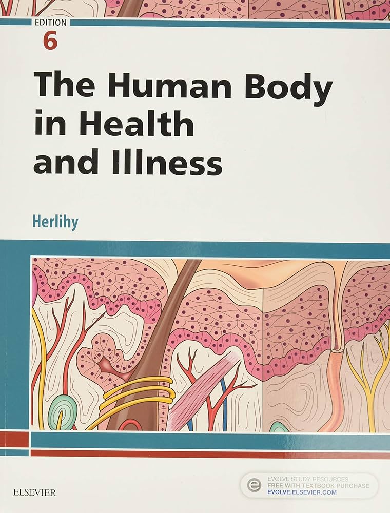 値下げ❗️The Human Body in Health and Illness The Human Body in Health and Illness: HERLIHY, HERLIHY