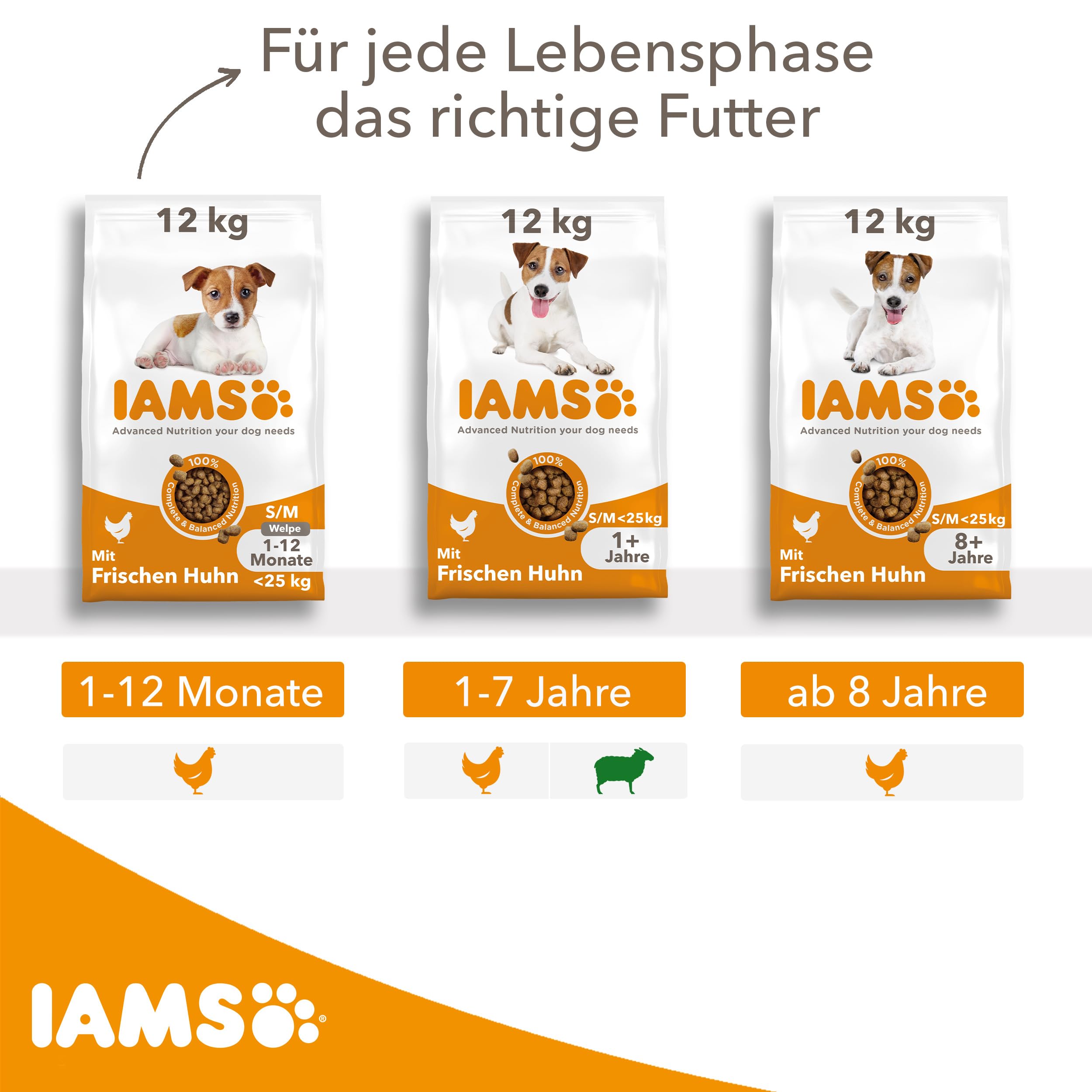 IAMS Welpenfutter trocken mit Huhn für kl. & mittelgroße Rassen, 12kg | Trockenfutter | für Welpen | für Junior Hunde | im Alter von 1-12 Monaten | für kleine & mittelgroße Rassen