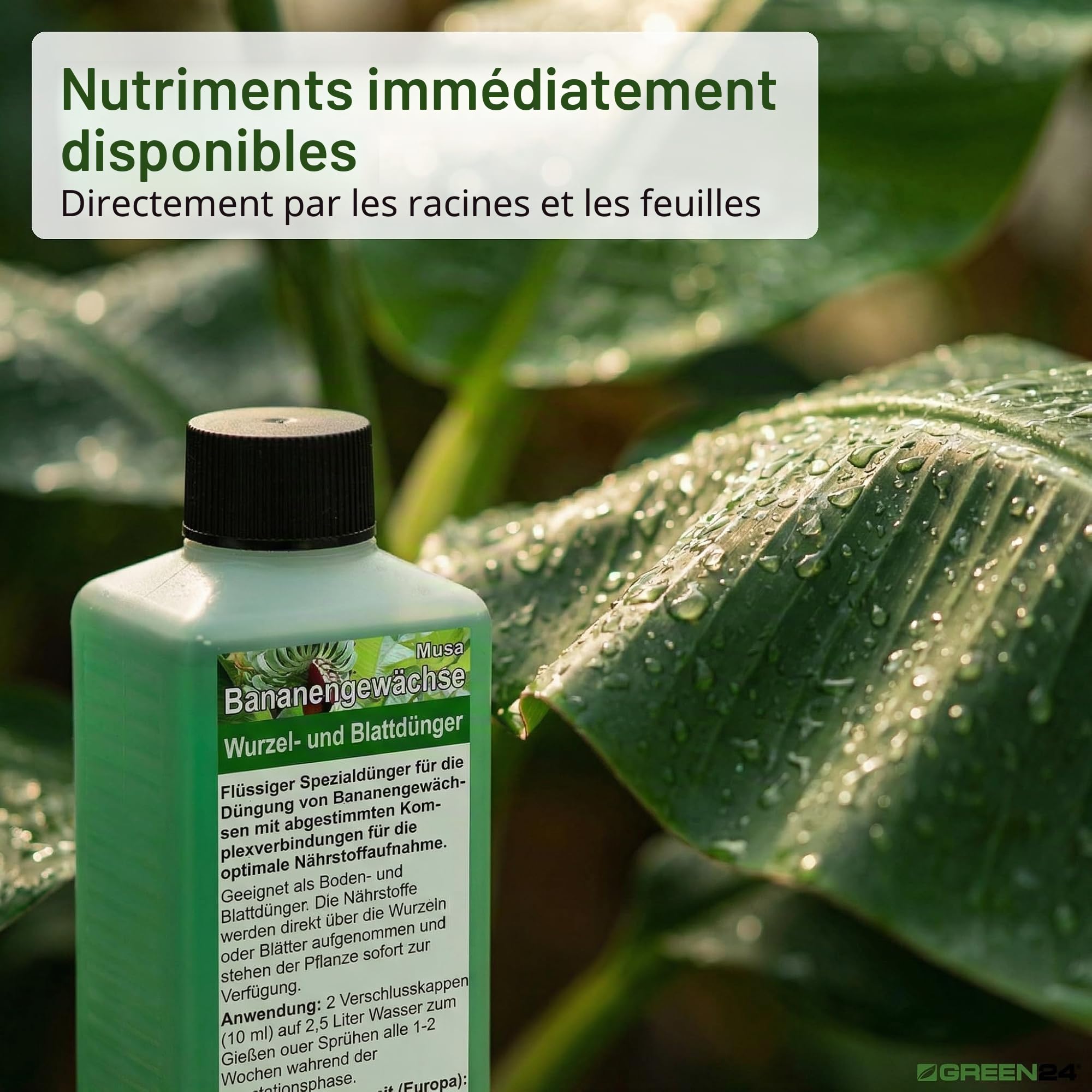 Green24 Engrais pour bananes Musa Haute technologie