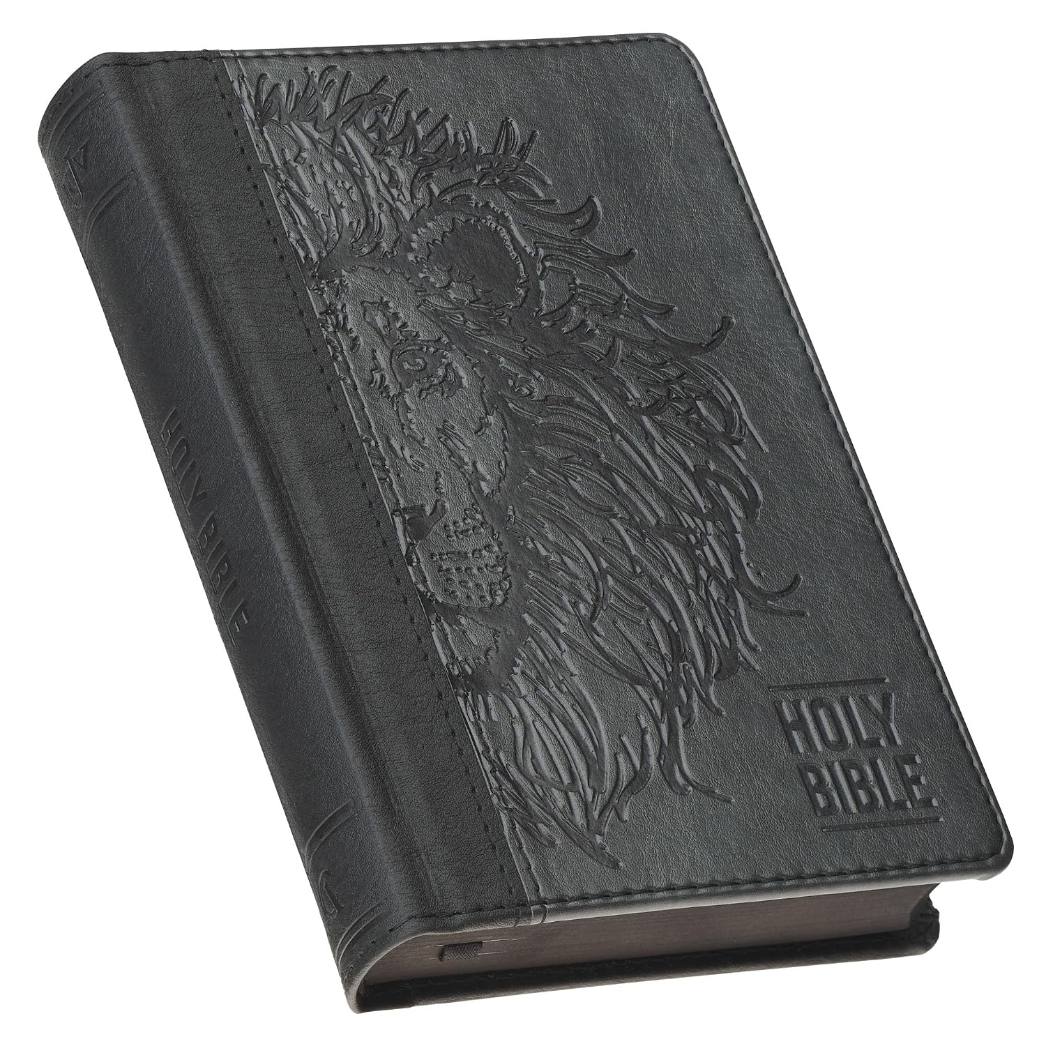 KJV Holy Bible, Compact Vegan Leather Red Letter Edition - Ribbon Marker, King James Version, Black/Gray (KJV Compact Editions)