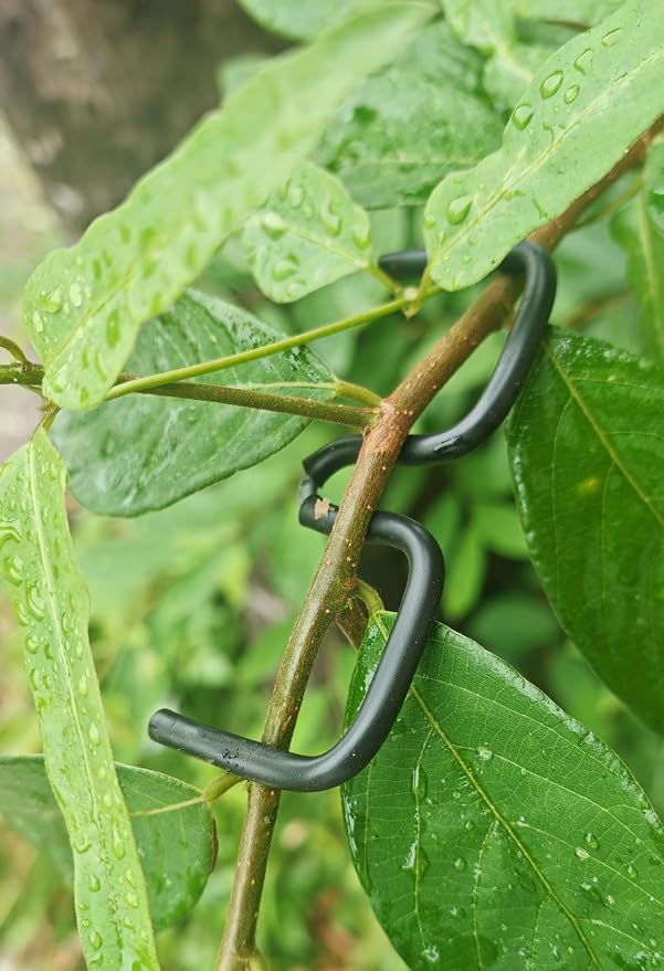 Herramienta extensora para ramas de árboles frutales 3.1 pulgadas miniatura 4