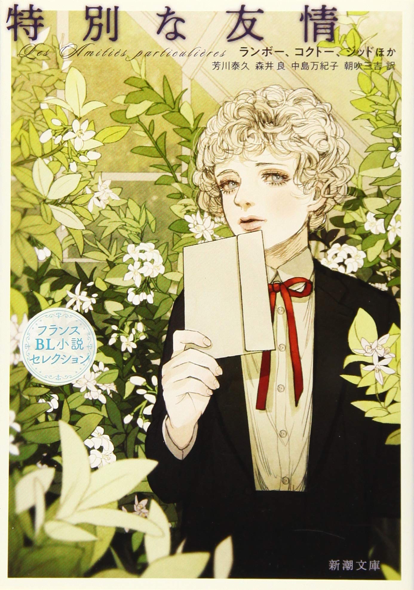 Amazon.co.jp: 特別な友情 :フランスBL小説セレクション (新潮文庫