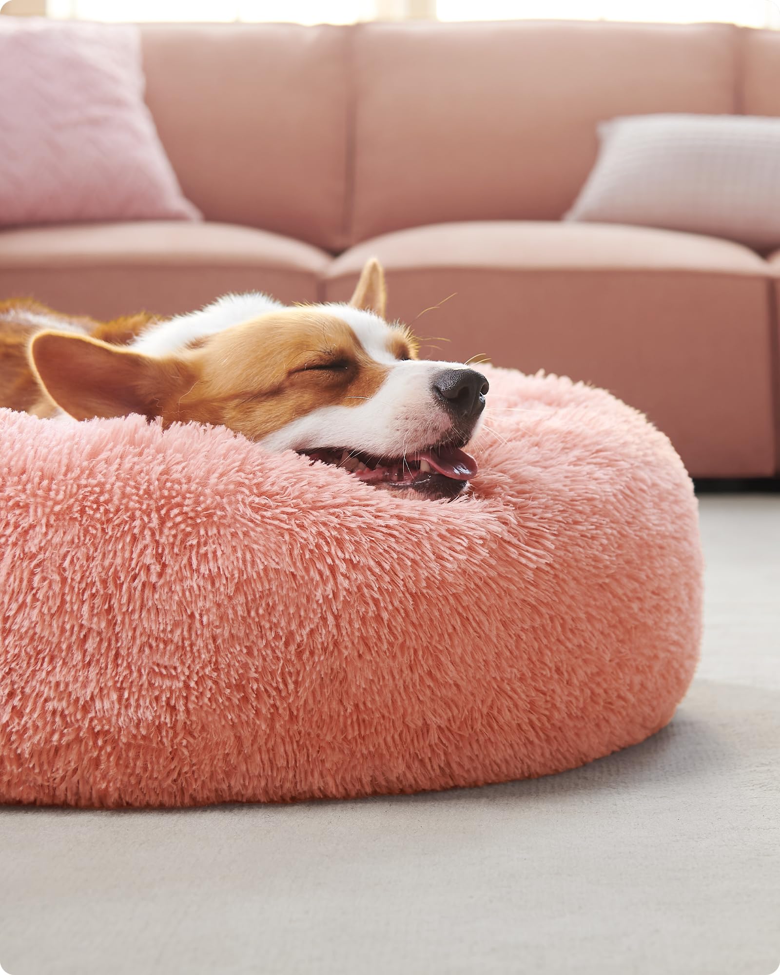 Feandrea Cuccia Cane Interno, Cuccia per Cani, Lettino per Animali Domestici a Ciambella, Cuscino Sfoderabile e Lavabile, Tappeto di Peluche, Diametro 80 cm, Rosa PGW040R01