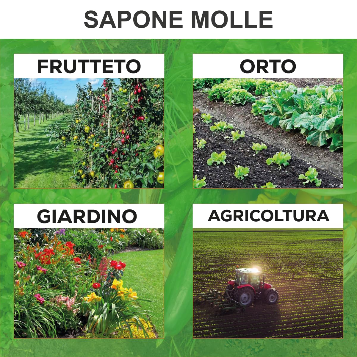 Sapone Molle di Potassio – Protezione Naturale e Biologica per Piante Sane e Rigogliose - insetticida naturale biologico - corroborante potenziatore delle difese naturali (1 litro)