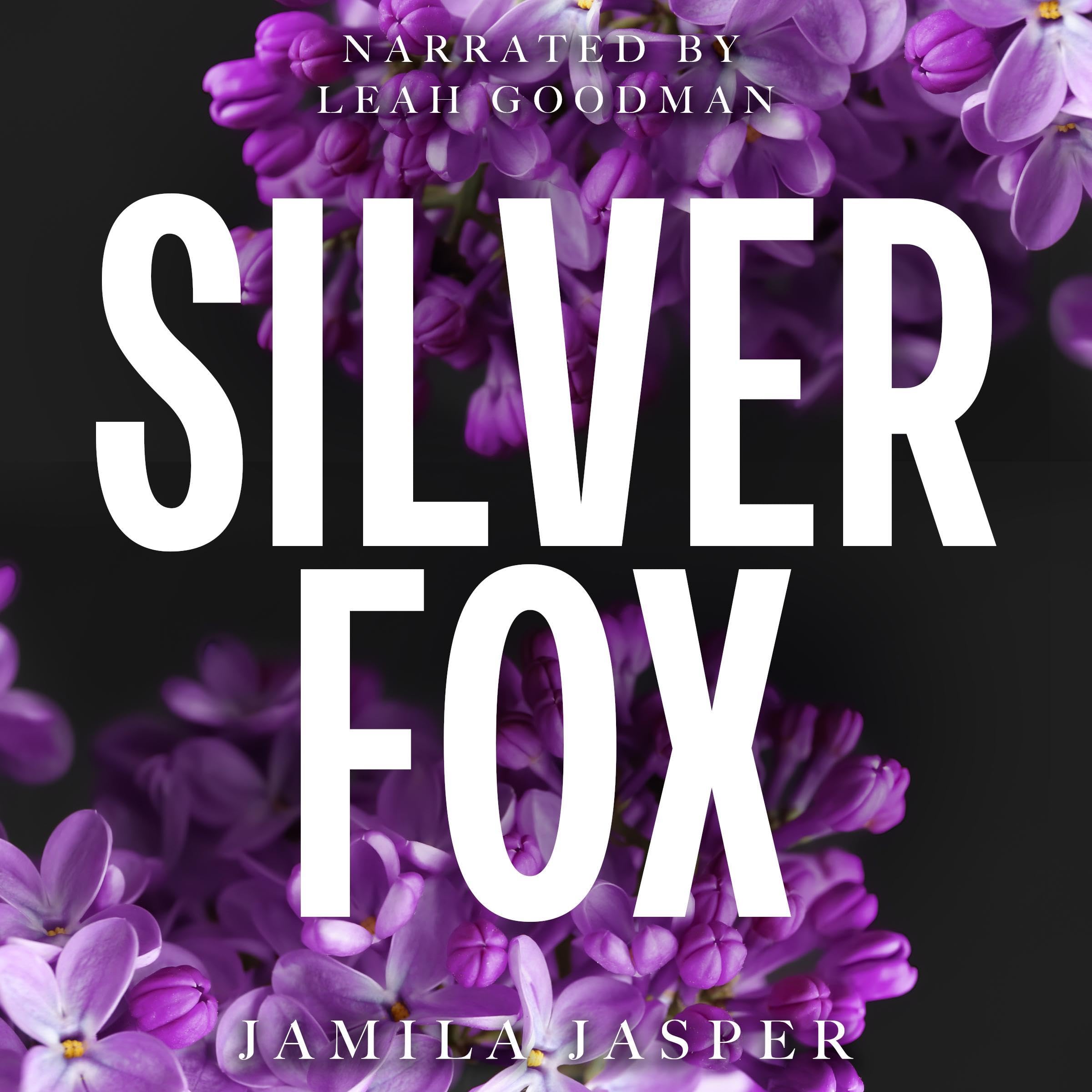 Cover art for Silver Fox: A BWWM Billionaire Romance