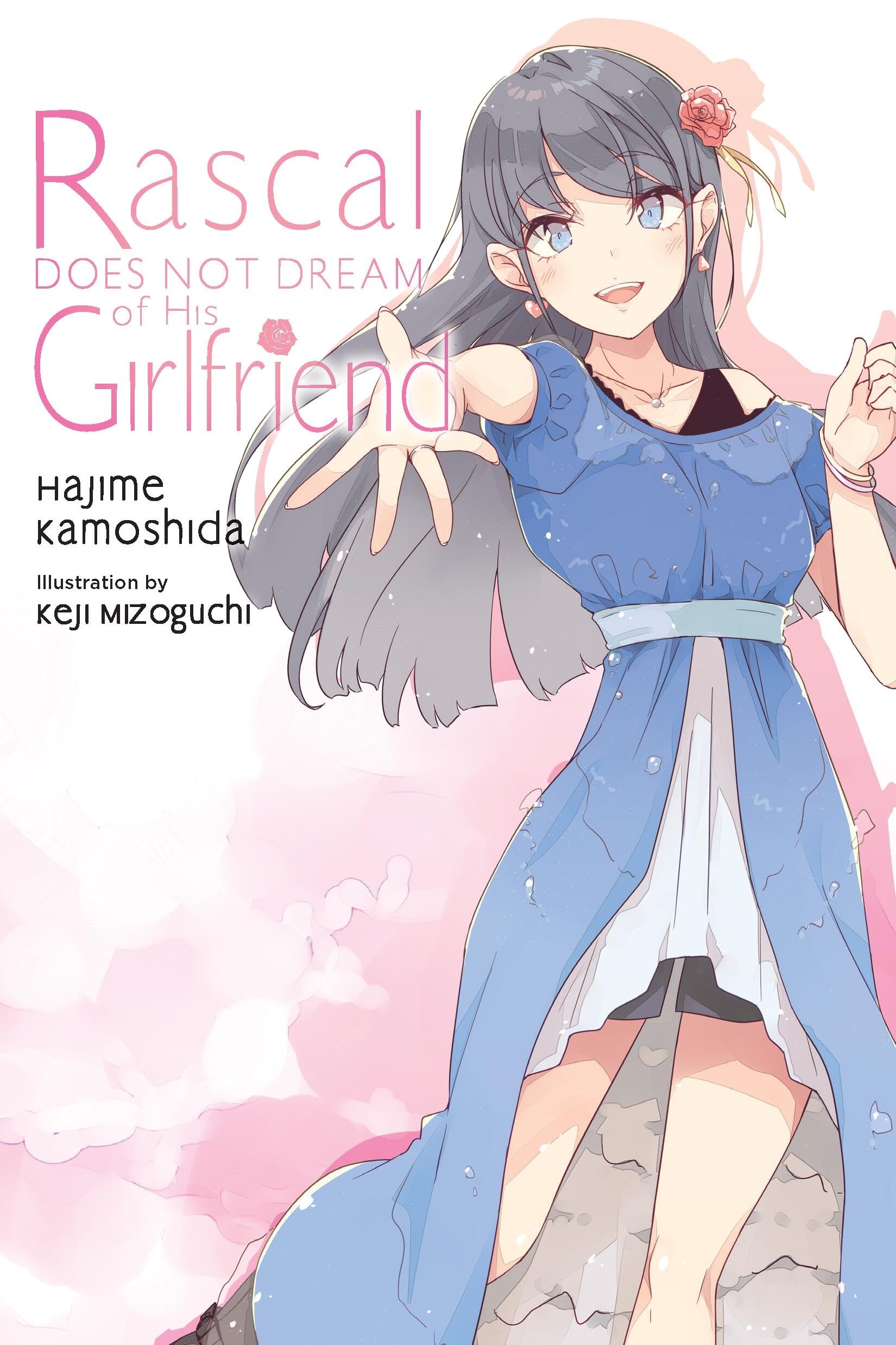 Rascal Does Not Dream of His Girlfriend (light novel) by Andrew Cunningham