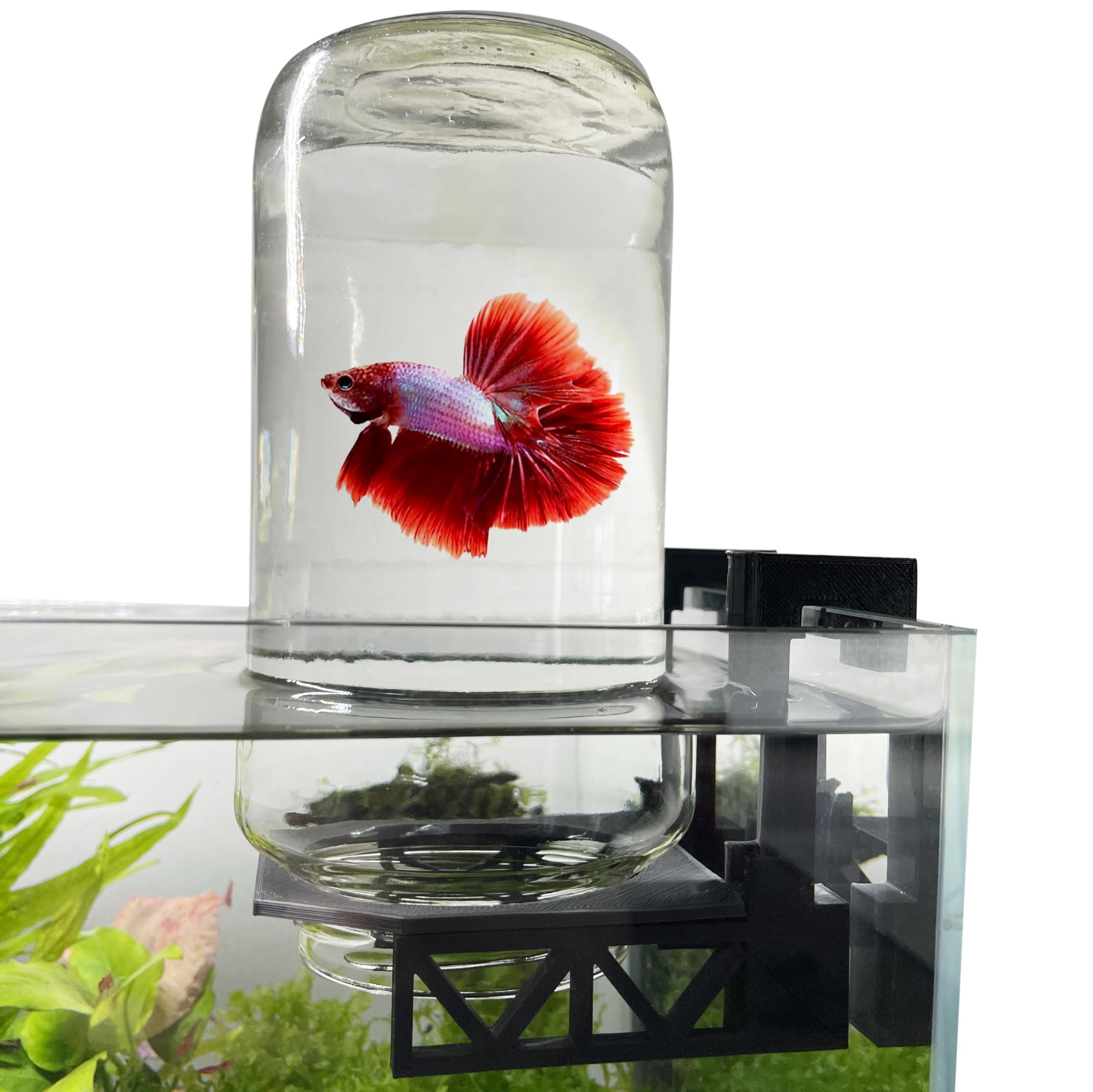 Inverted Betta Tank Holder Kit, 360-Degree Panoramic View for Betta Fish, Expands Swimming Space, Aquarium Inverted Holder, Made in Canada (Black,