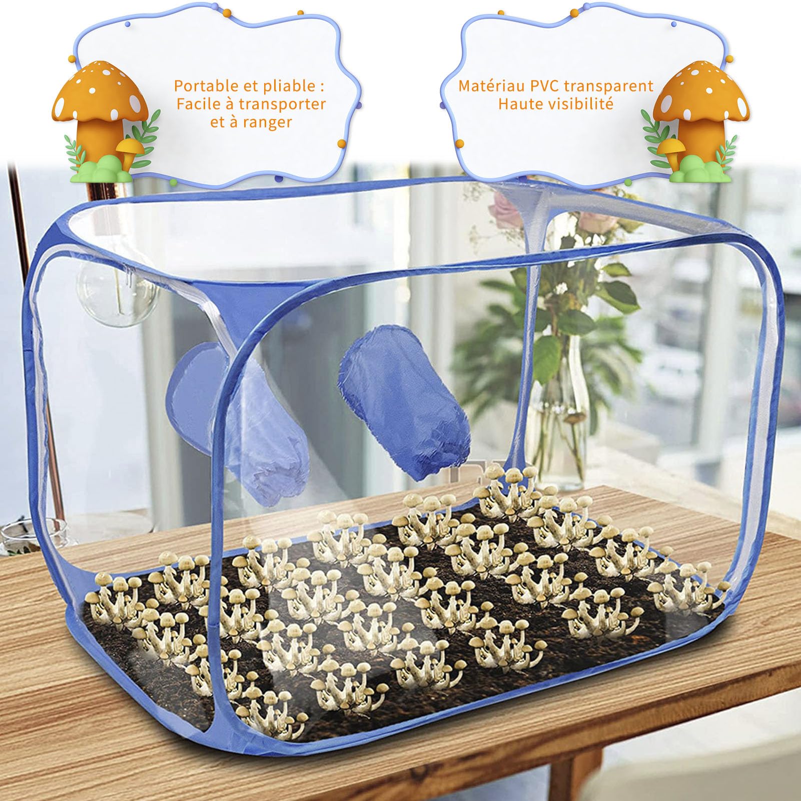 Still Air Box Für Pilzzucht – Faltbar, Transparent, Mit Handschuhen (90,2x59,7x59,7 Cm)
