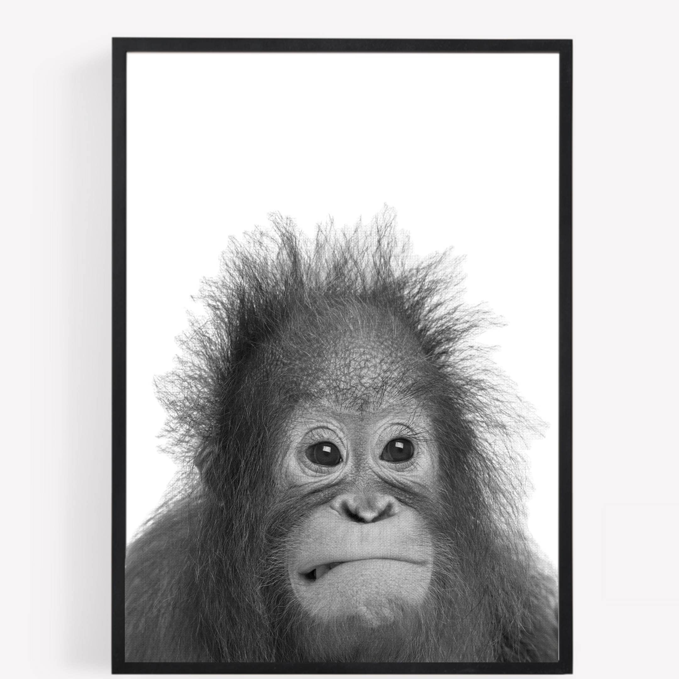 Gfc Black White Orangutan Monkey Print Picture Poster Gift Nursery A4 Unframed 1 Wall Art Home Decor Decorating Colour