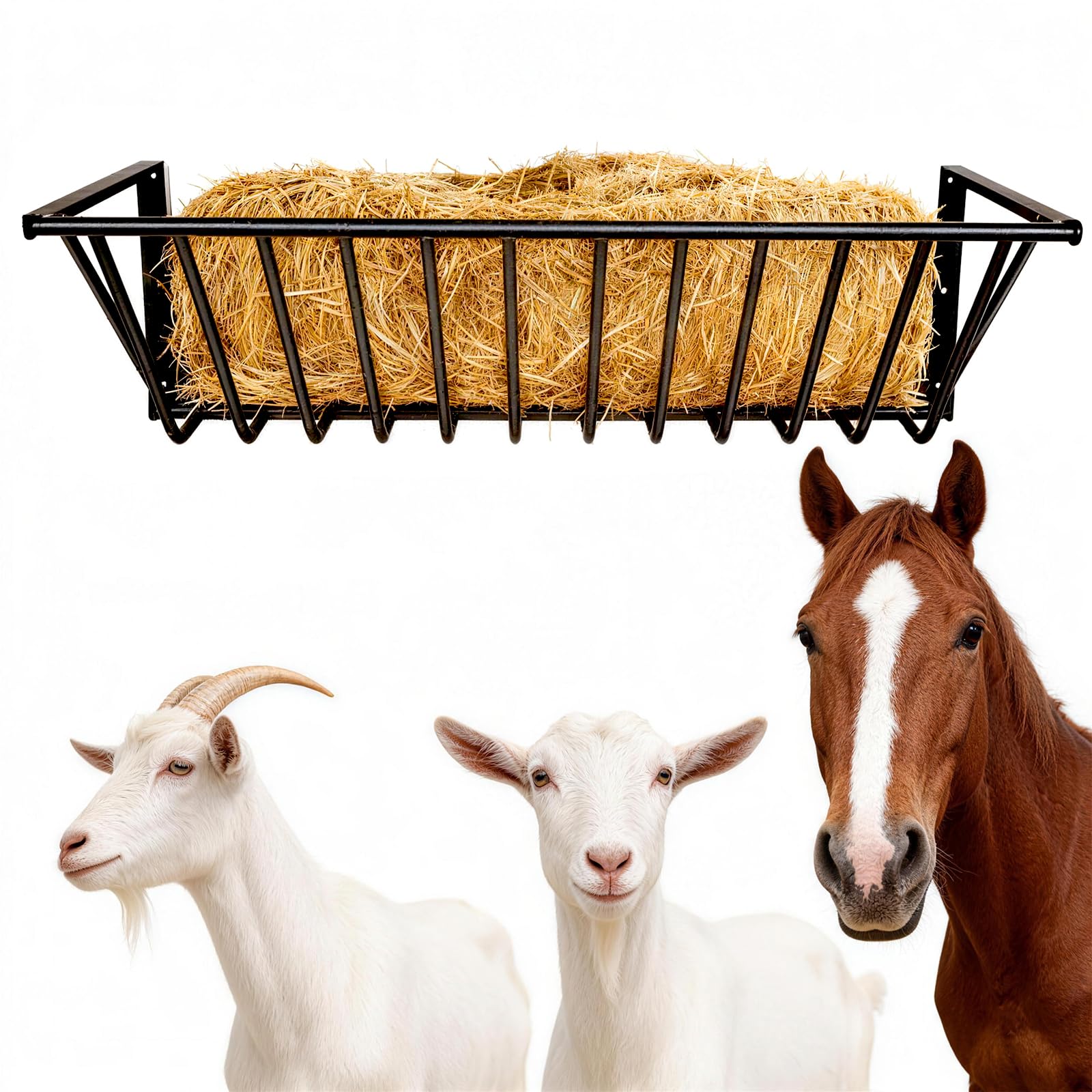 Wall Mounted Hay Feeder & Blanket Holder, 63" 67 Gal Heavy Duty Steel Hay Rack for Horse Stall, Goat Shed, Sheep Barn, Organizer for Feeding and Storage