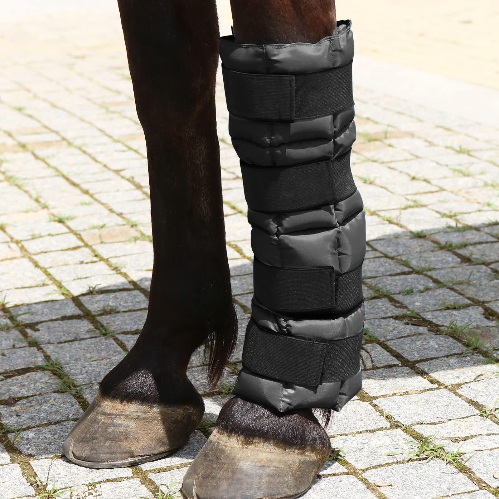 Harrison Howard Bota de hielo para caballo-negro