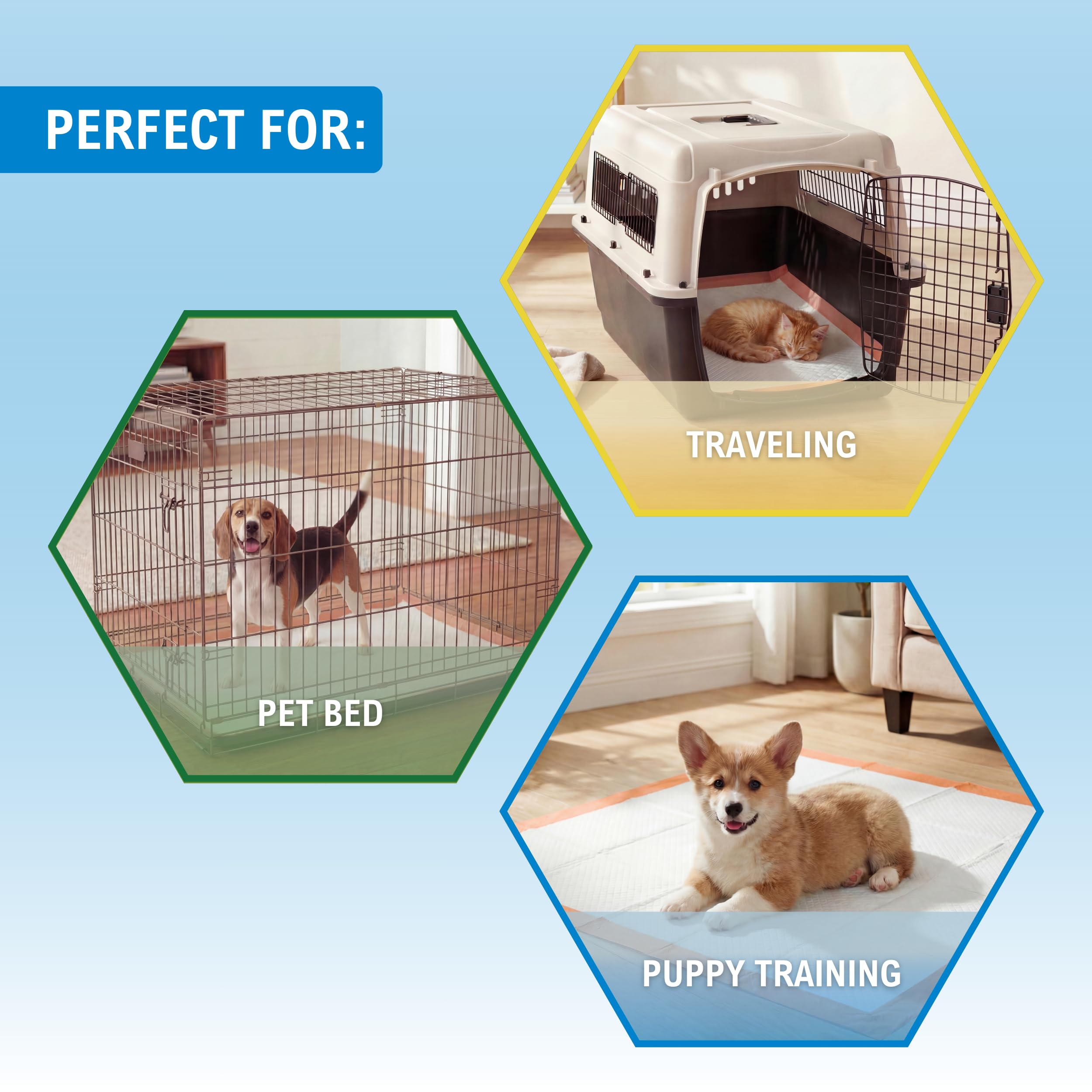 MED PRIDE Lot de 30 tapis de dressage pour chien avec appât jetables, ultra absorbants avec technologie à 6 couches - Anti-fuites et imperméables pour chiens, chats, lapins [76,2 x 76,2 cm]