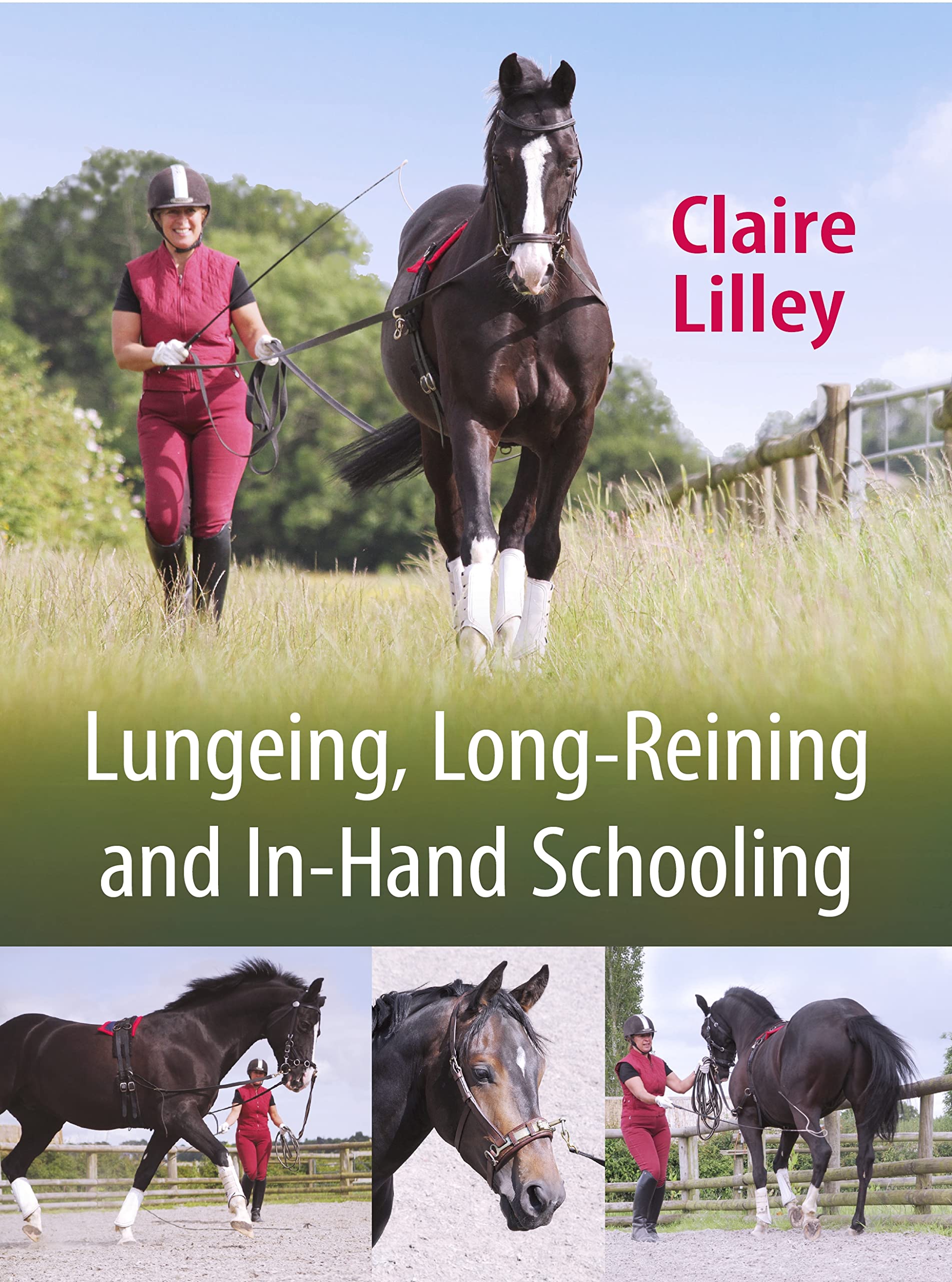 Lungeing, Long-Reining and In-Hand Schooling by Claire Lilley PAPERBACK