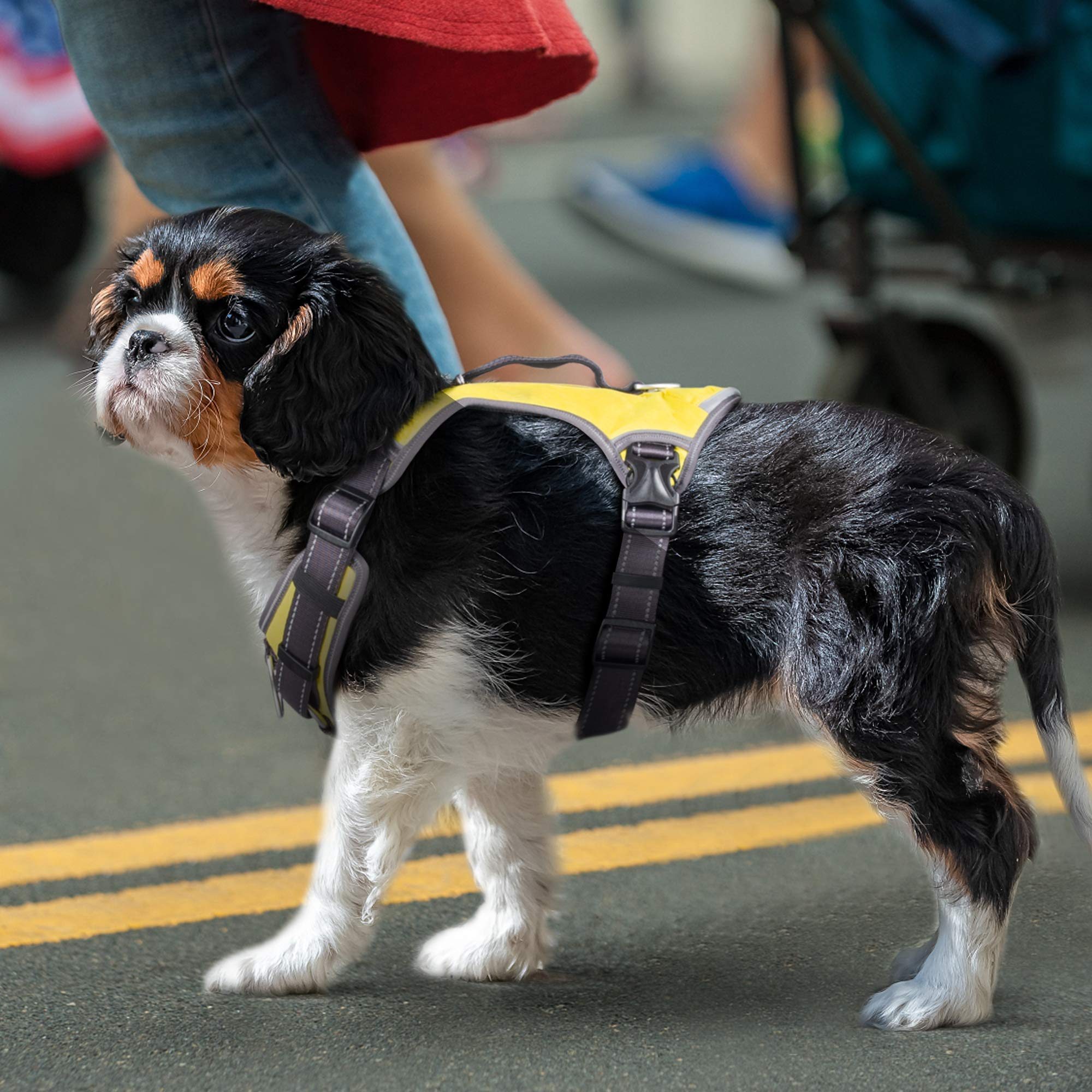 Fida Pettorina per cani anti-tiro, con borsa laterale, resistente, per viaggi, campeggio, escursionismo (giallo, S)