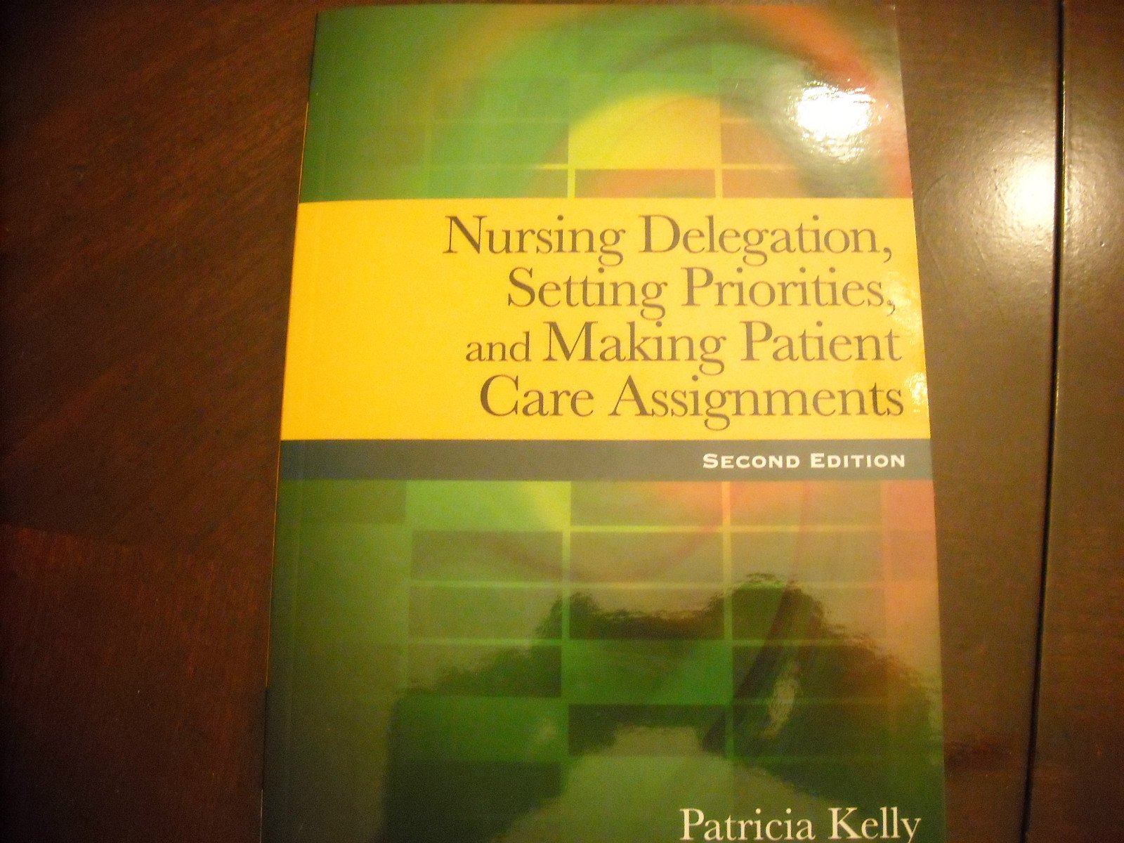 Buy Nursing Delegation, Setting Priorities, and Making Patient Care Assignments — BookShops.in