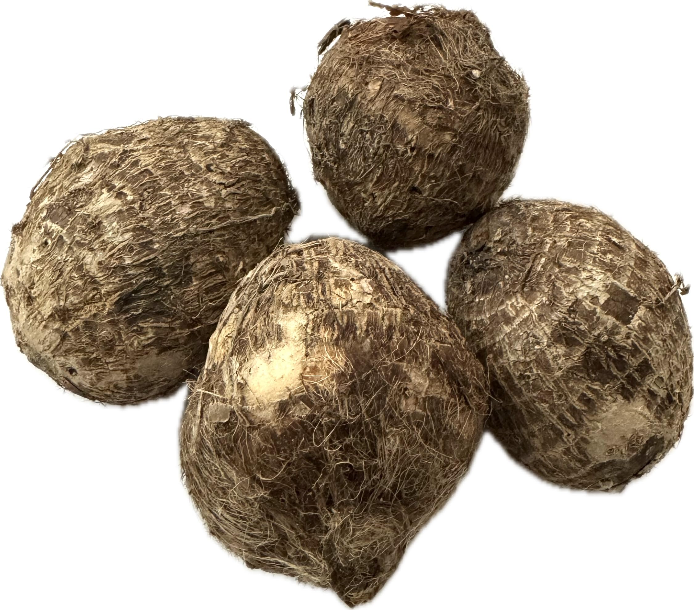Amazon.com: Fresh Taro Roots, Small, 1 Pound : Grocery & Gourmet Food