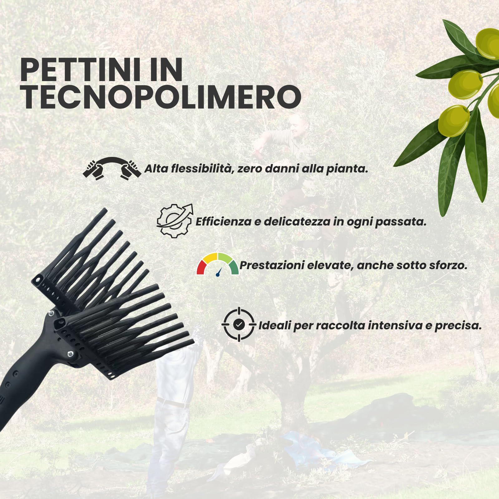 Generico Abbacchiatore Olive Elettrico 12V con Asta Telescopica 2-3m, 800 Battiti/Min, Pettini in Tecnopolimero – Scuotitore Professionale Leggero e Potente per Raccolta Olive