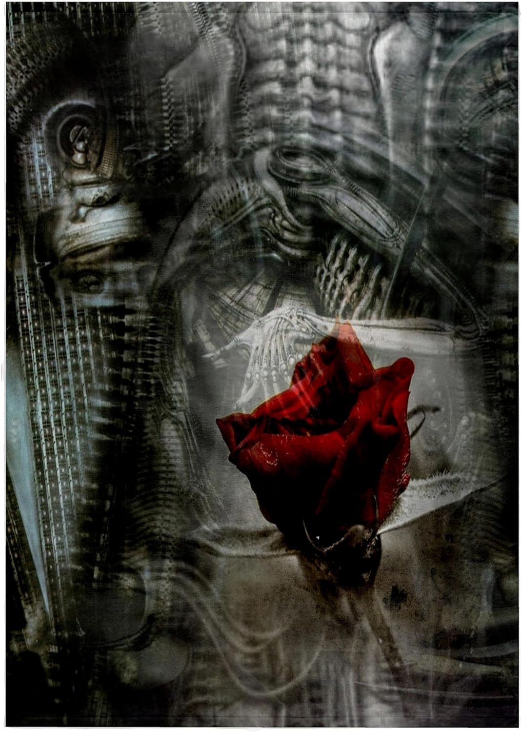 3dRose Image of Steampunk Metal with Red Rose 22x30 Bath Hand Pool Towel