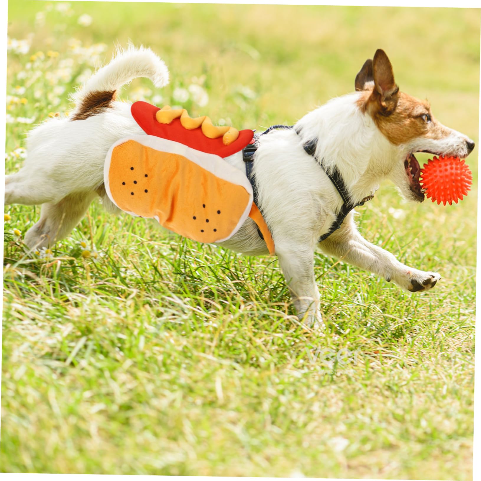 YARNOW 3 Pz Cappotto Per Cani Vestiti Per Animali Domestici Di Natale Costume Da Cosplay Per Cani Da Festival Vestiti Cosplay Per Animali Da Compagnia Costume Da Cane Hamburger Zucca