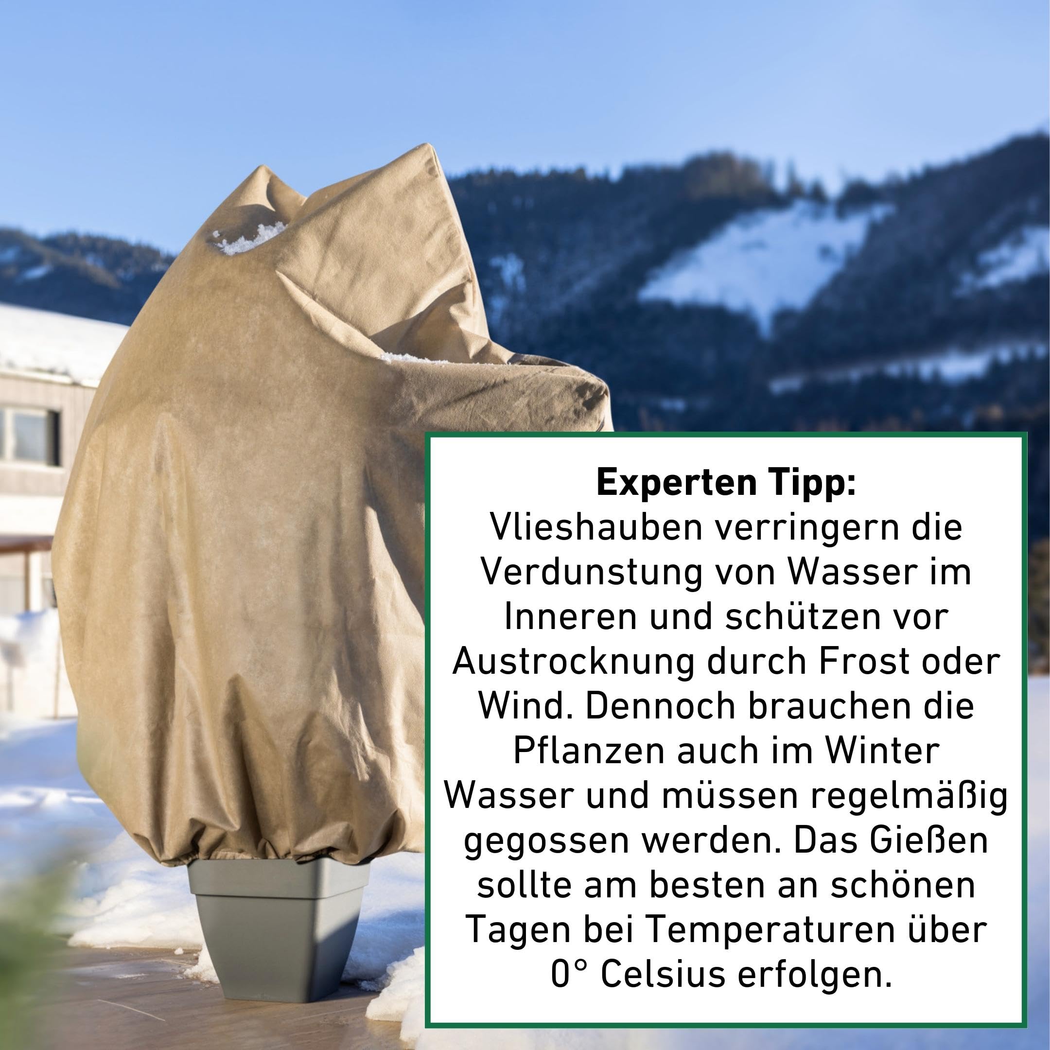 Windhager Winter-Vlieshaube Ultraprotect XXL, 1,4 x 2 m, Beige, 200 g/m², Winterschutz für Pflanzen, Kälteschutz, Frostschutz, Vlieshaube, Pflanzenabdeckung Winter, UV-stabilisiert