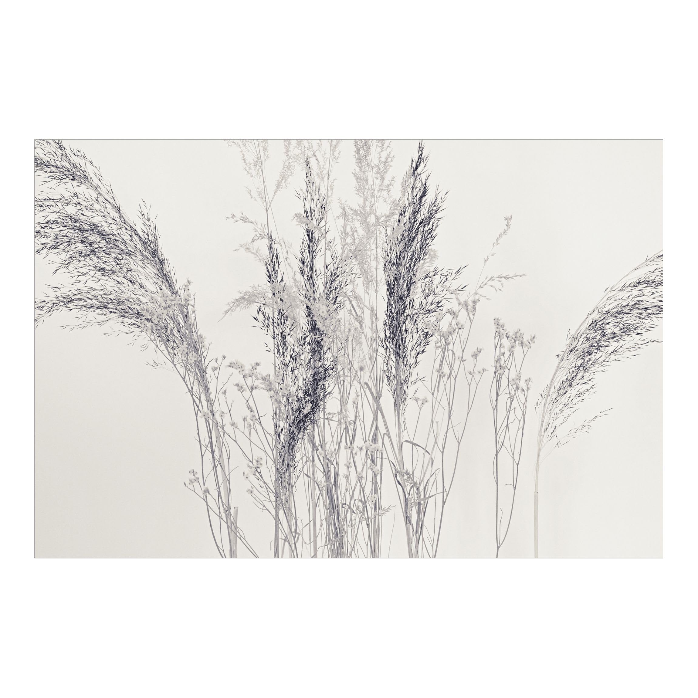 Papier peint panoramique 480x320cm style maison de campagne finitions grises
