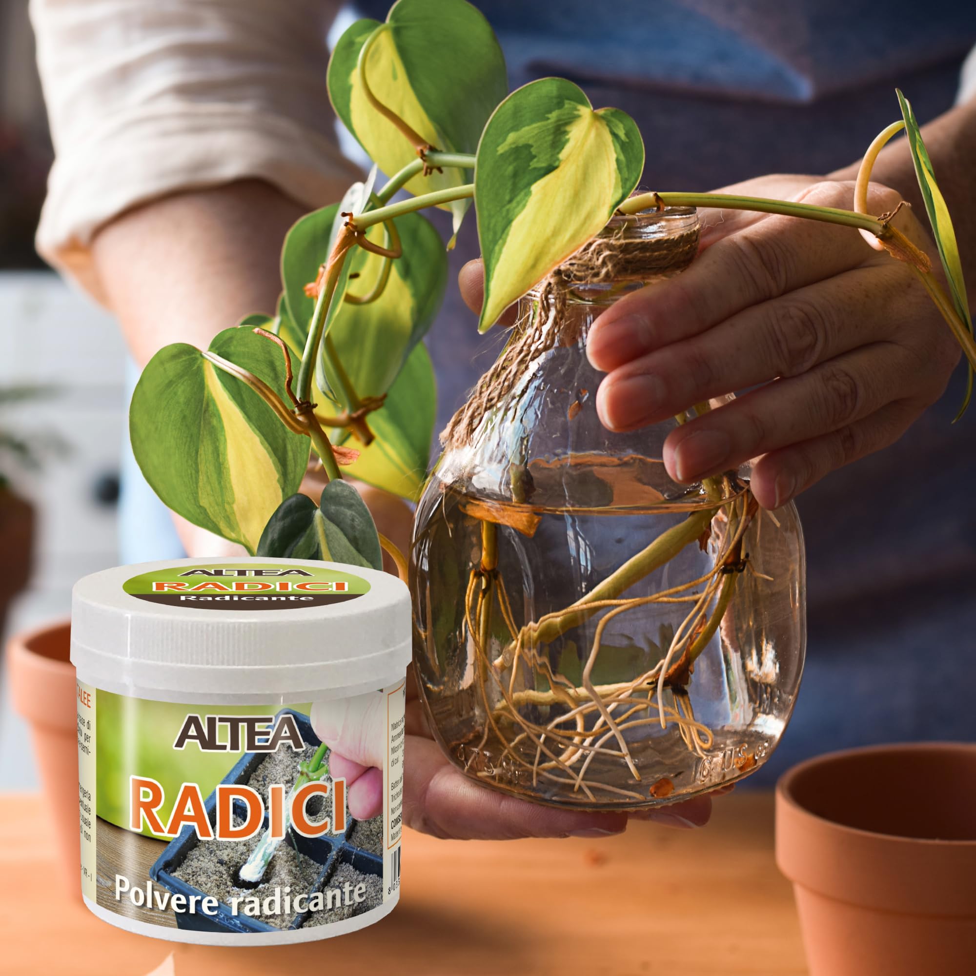 Tecnokit Radicante In Polvere Naturale Per Talee E Piante, Ormone Radicante Per Talee Erbacee E Legnose, Polvere Radicante Orchidee Con Estratti Vegetali, Agricoltura Biologica, Confezione Da 100 gr