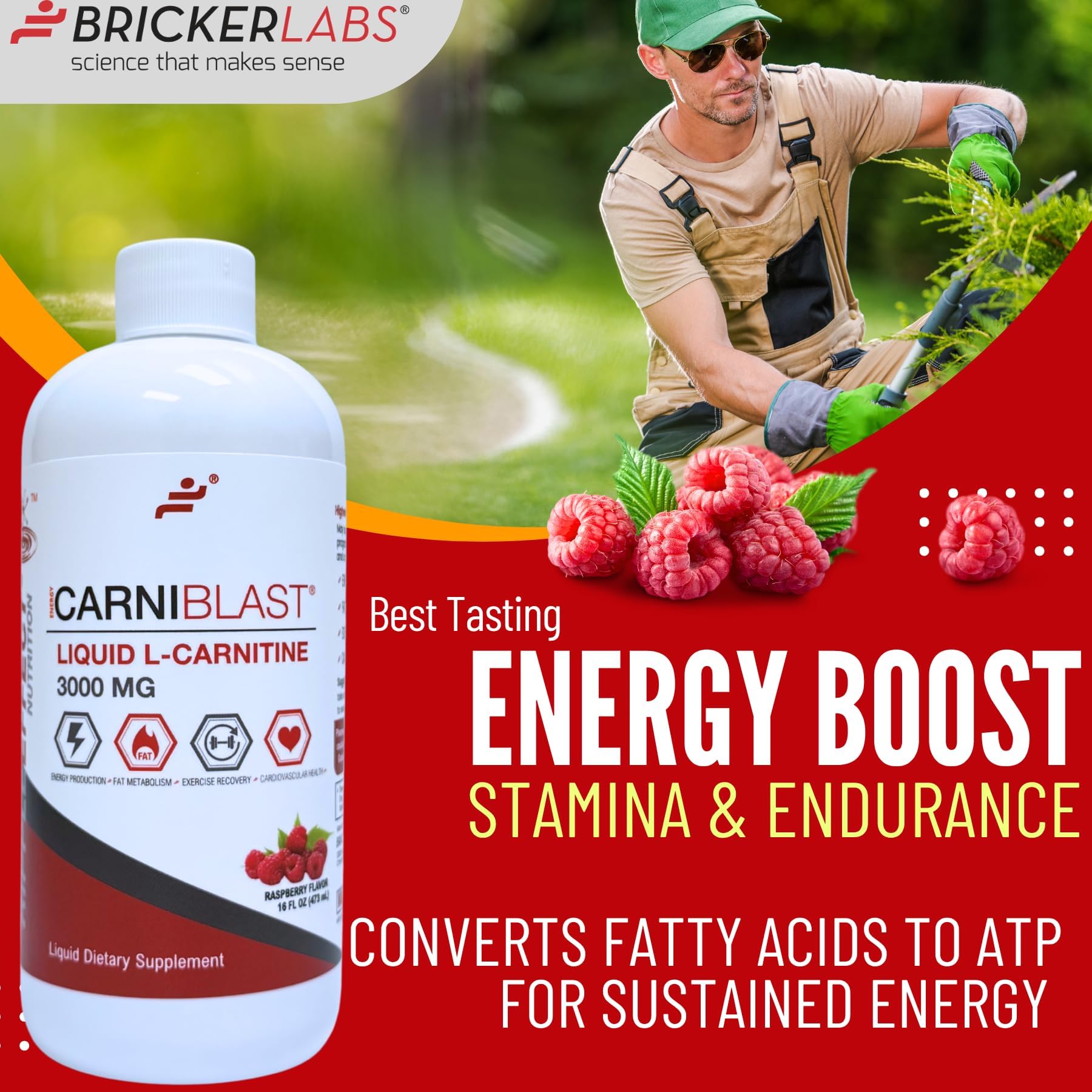 l-carnitine carnipure Amazon.com: Bricker Labs CARNIBLAST Liquid L-Carnitine 3000mg, Premium L  Carnitine Carnipure, Energy Nutrition, Energy Supplement and Energy  Booster, Raspberry, 16 fl oz : Health & Household