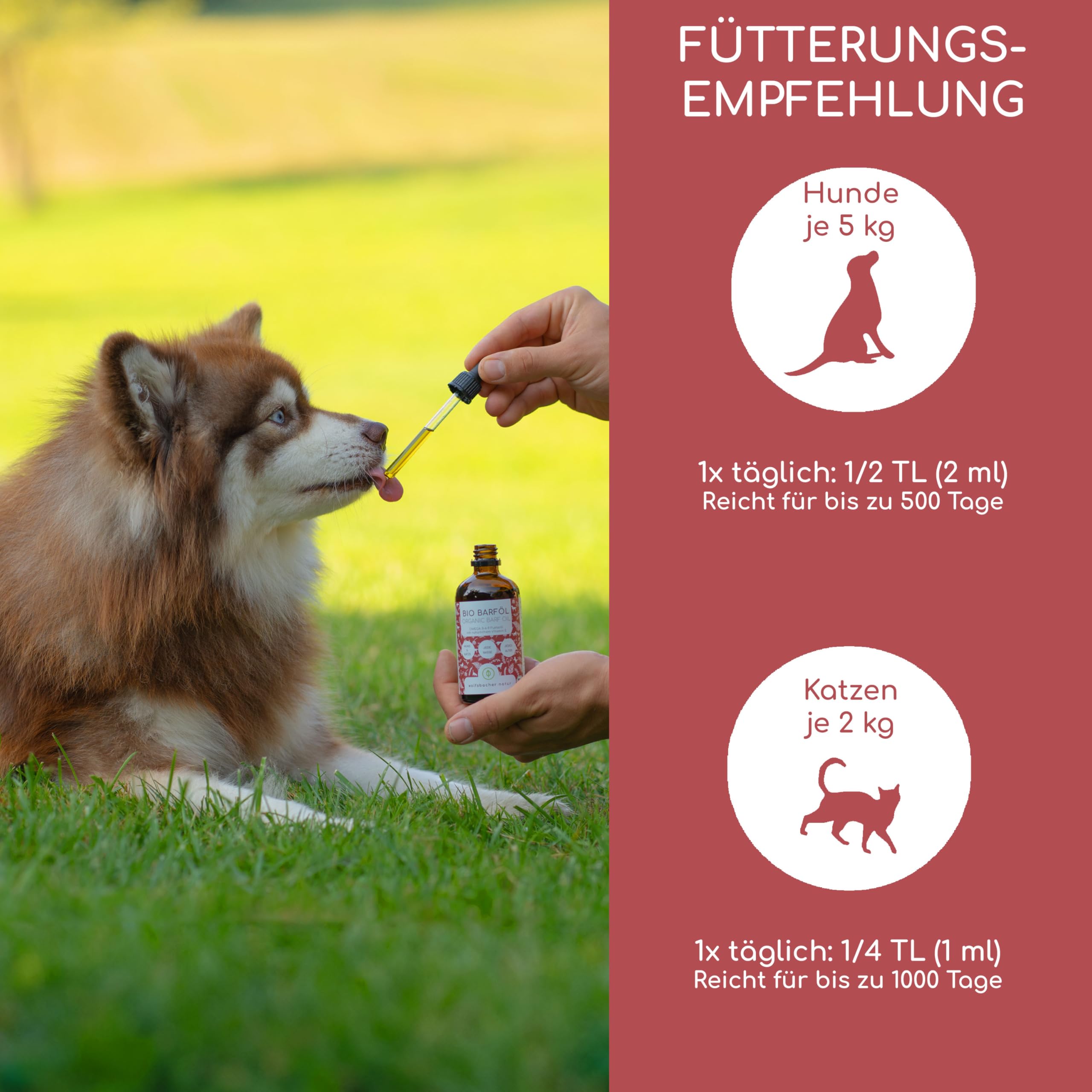 Futteröl für Hunde 1 Liter – 100% Bio Barföl - Natürlich und Vegan - Aus Leinöl, Nachtkerzenöl, Olivenöl, Kürbiskernöl, Chiaöl - Mit Omega 3-6-9, DE-ÖKO-060