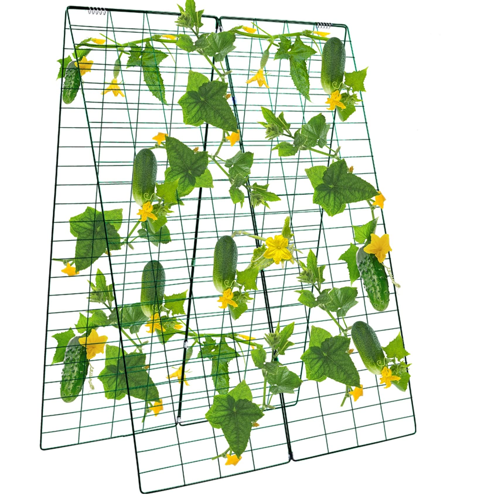 Kyrieval A-Frame Cucumber Trellis
