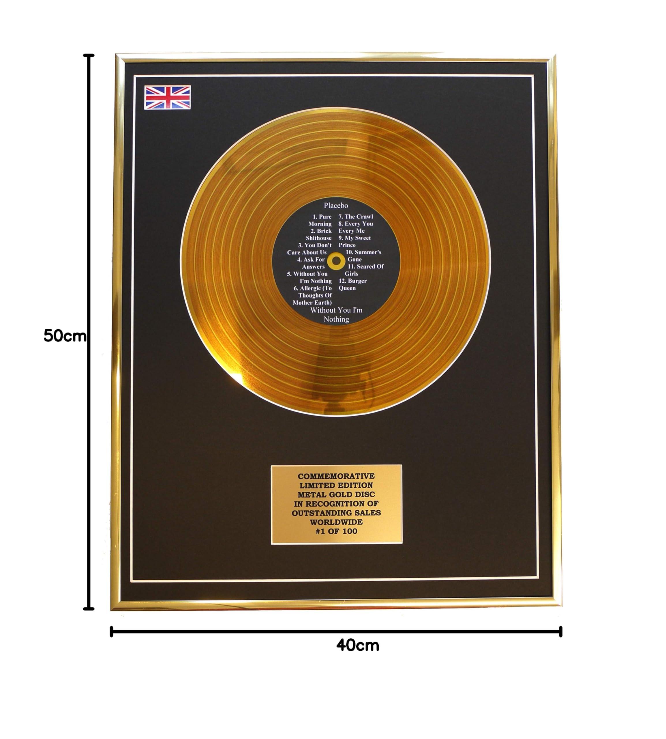 Placebo – Without You I'm Nothing Metal Gold Schallplatten-Display