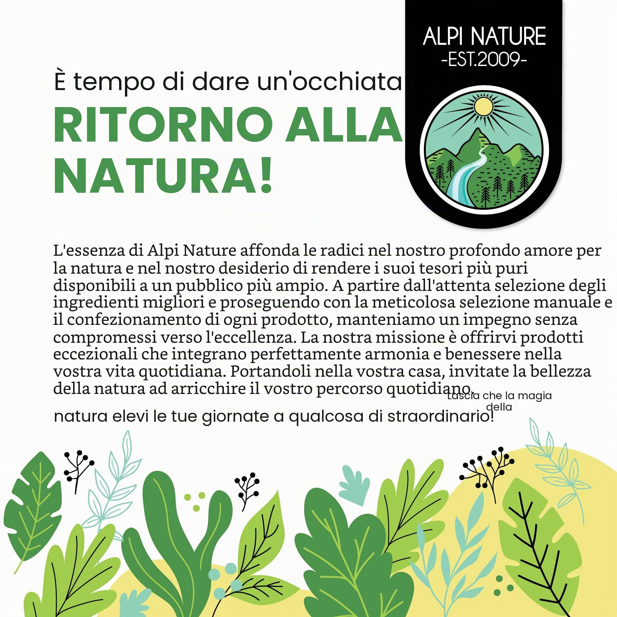 Alpi Nature Camomilla Tisana 1kg, Camomilla Fiori Essiccati di Alta Qualità, Tè Sfuso