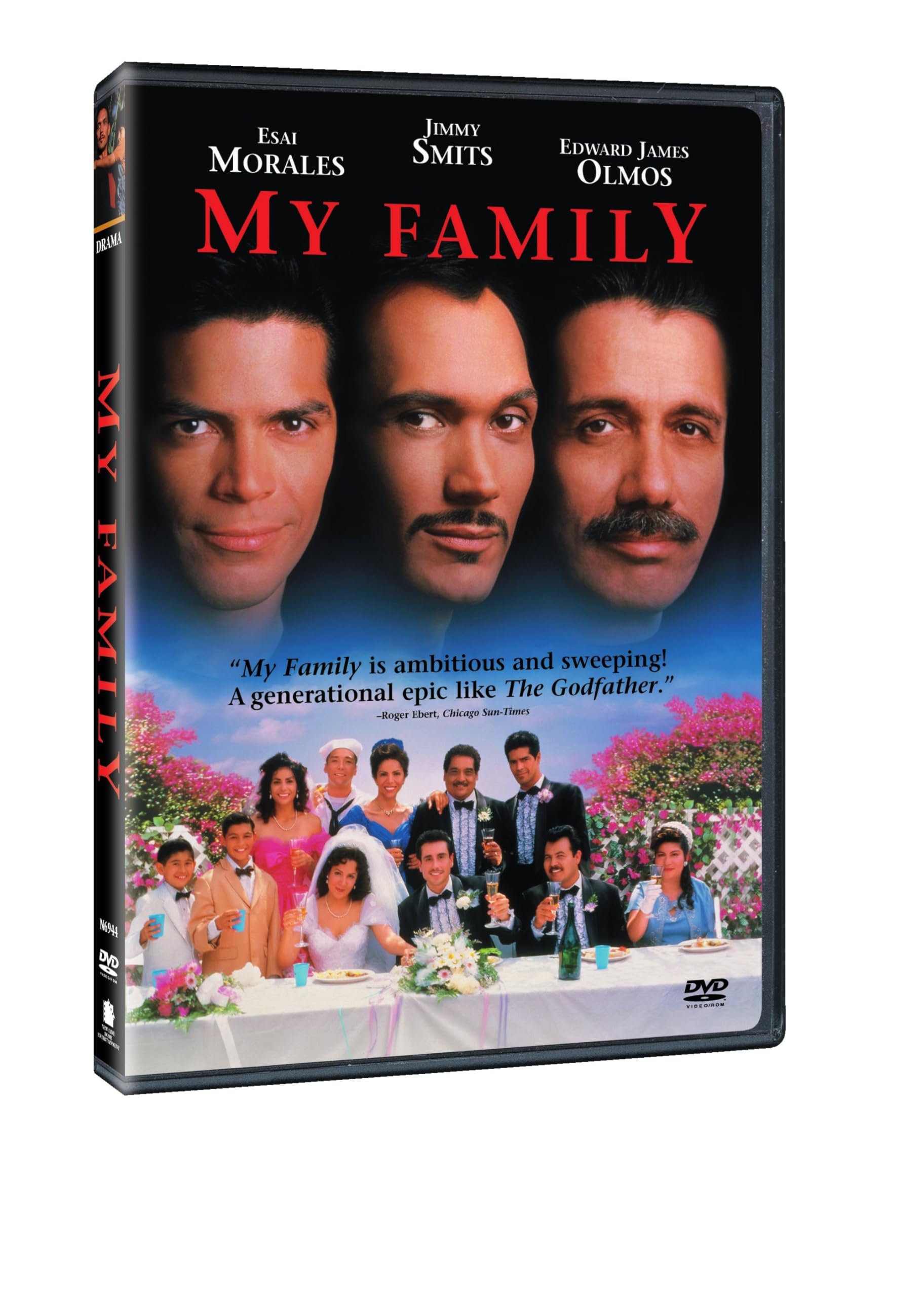 My Family Mi Familia [DVD] [1995] [Regione 1] [Importazione USA] [NTSC]
