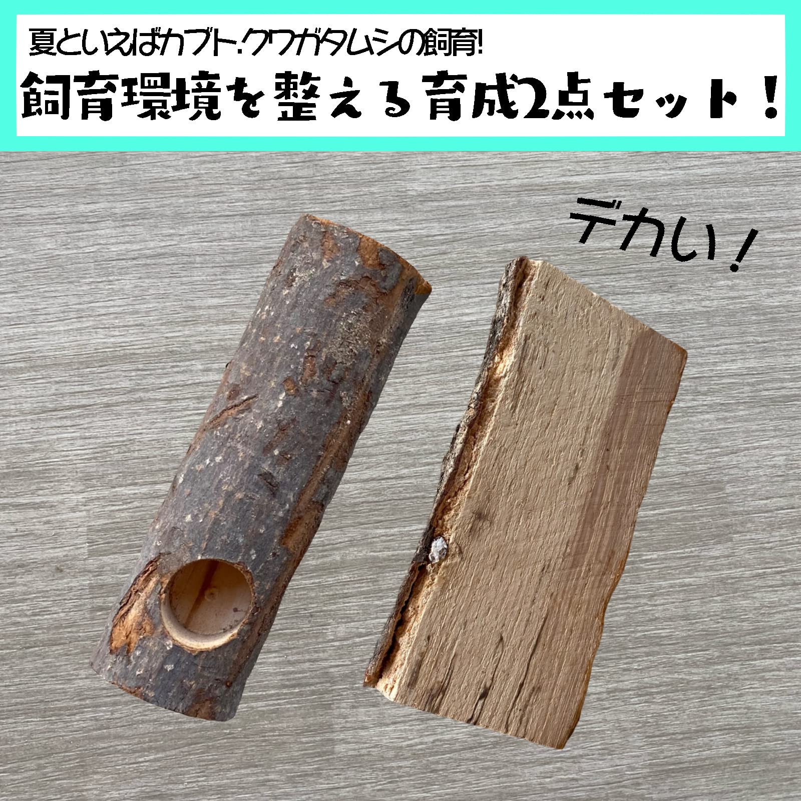 Amazon.co.jp: (Muu3) カブトムシ クワガタ 昆虫 育成 ジャンボ 足場