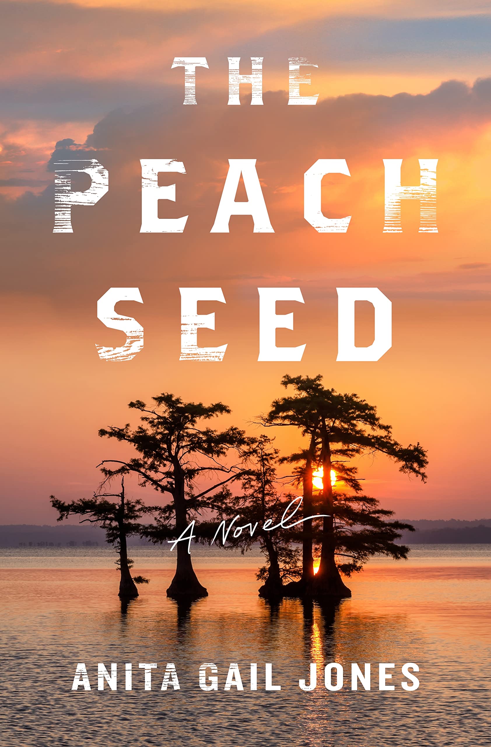 Buy The Peach Seed: A Novel — BookShops.in