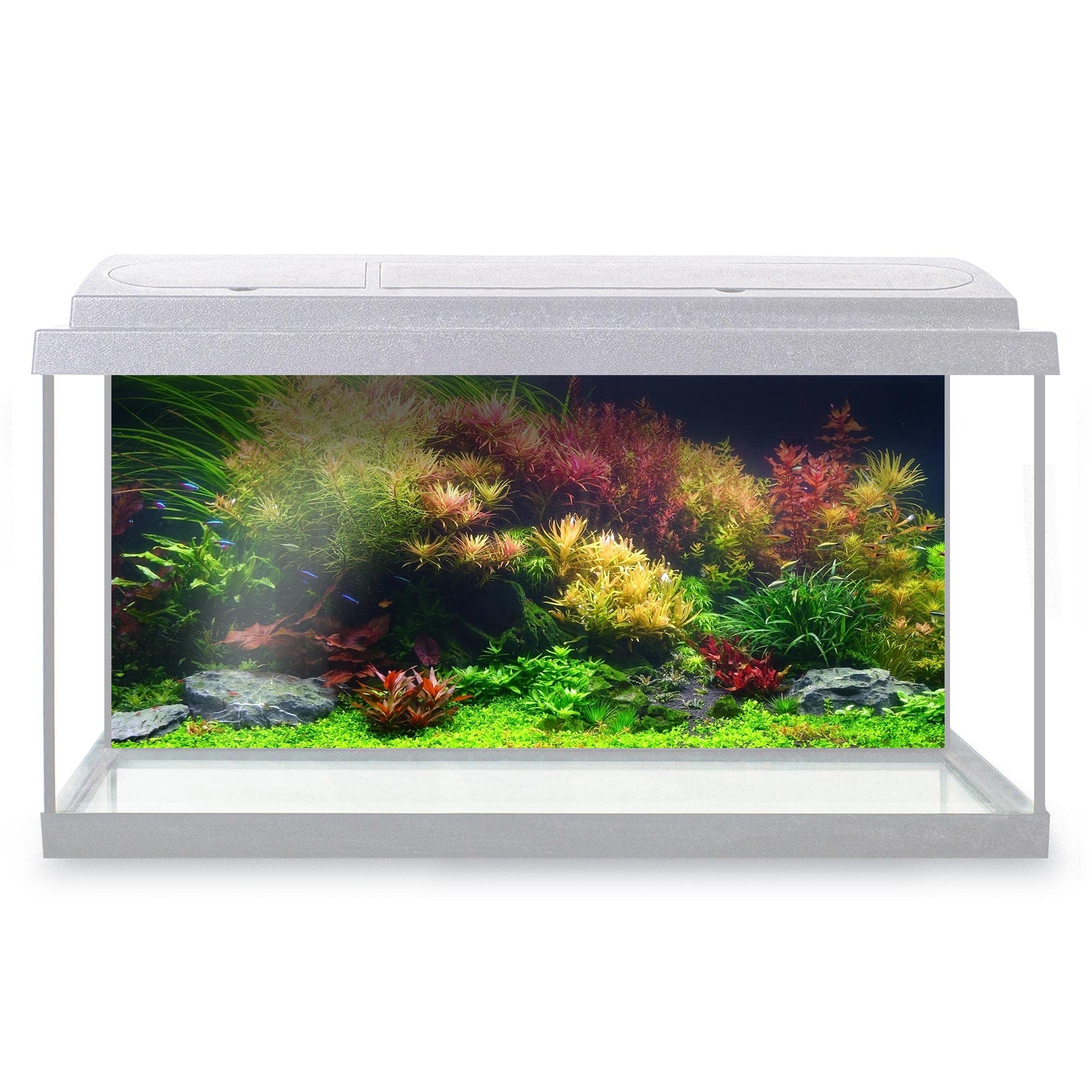 DV DESIGN Aquarium Fish Tank Background 92x42 cm - Colorful Aquatic Plants Tank Marine Landscape Underwater World Static Cling Vinyl Vivarium Terrarium External Application #500032 โ image 1