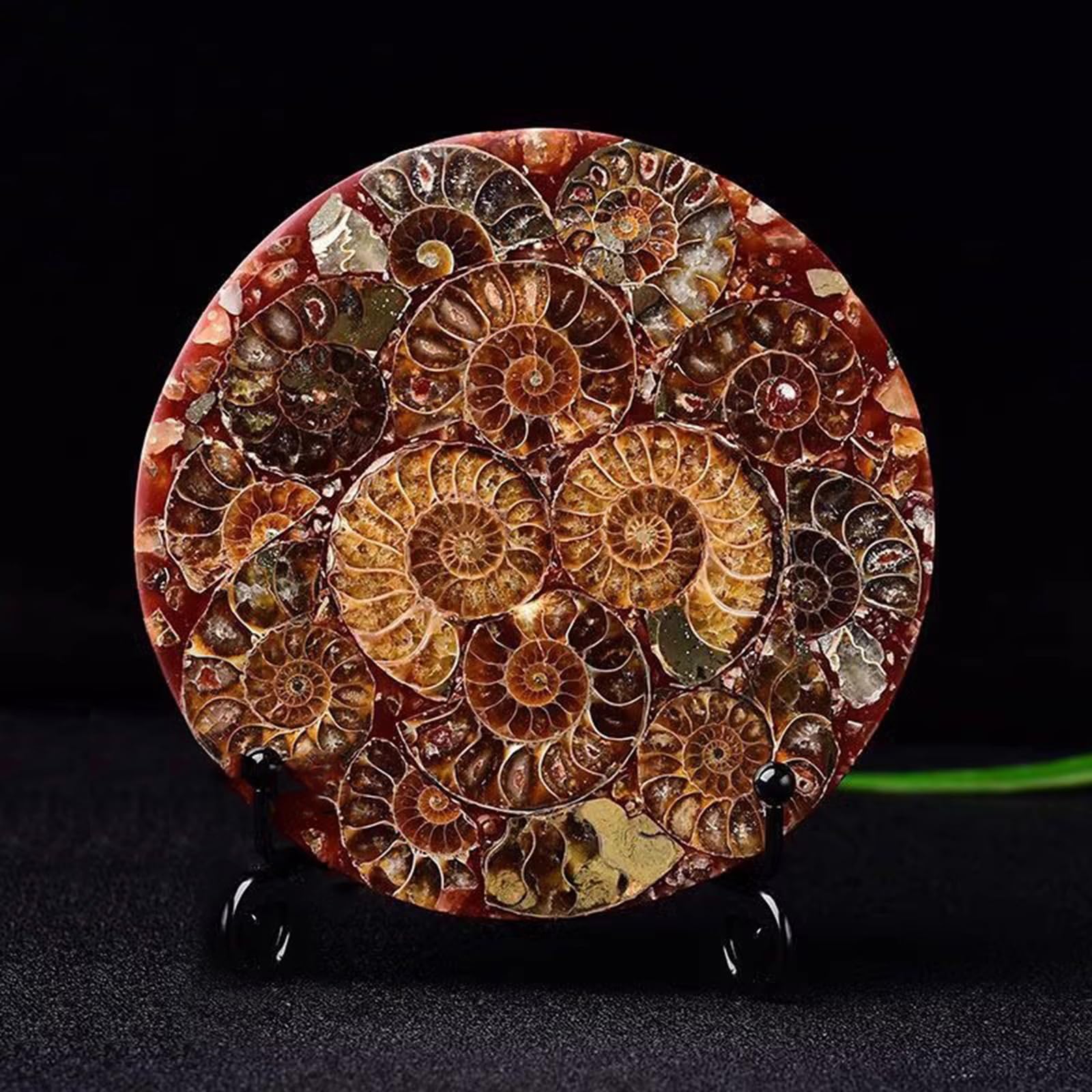 Fósil de Disco de amonita Natural decoración de sanación Adornos enseñanza científica espécimen de Concha Regalo,Metálico,11cm