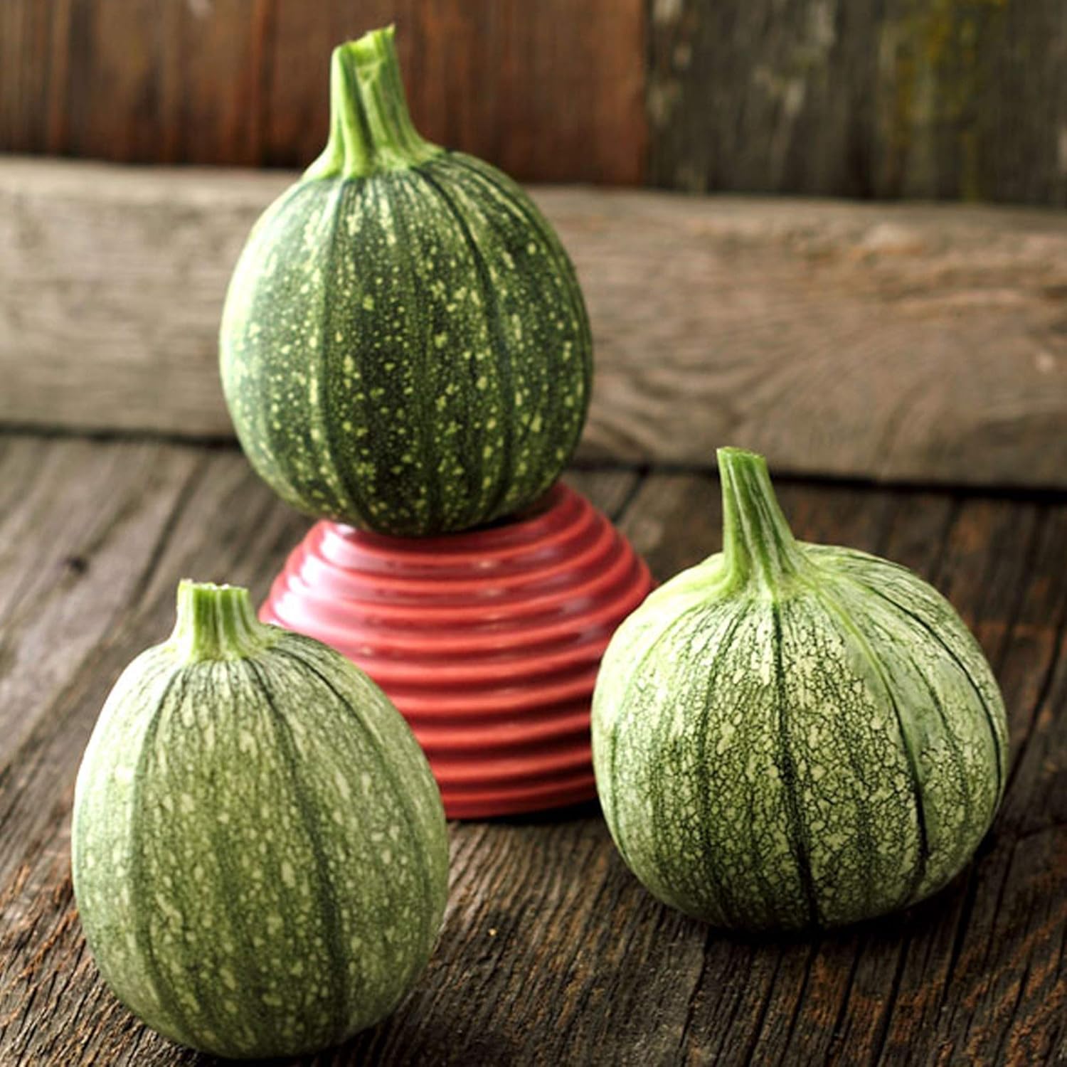 pix When To Pick Round Zucchini Squash round zucchini seeds 4 g 33 seeds heirloom open pollinated non gmo farm vegetable gardening seeds summer squash