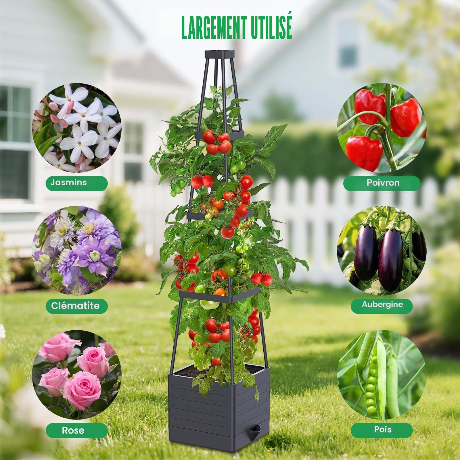 2 Pack 145cm Jardinière Tomate avec Treillis, Auto-Arrosage | Arrosage Automatique, Tuteur Support Tomate, Treillis pour Plantes Grimapantes, Légumes, Fleurs, Intérieur et Extérieur