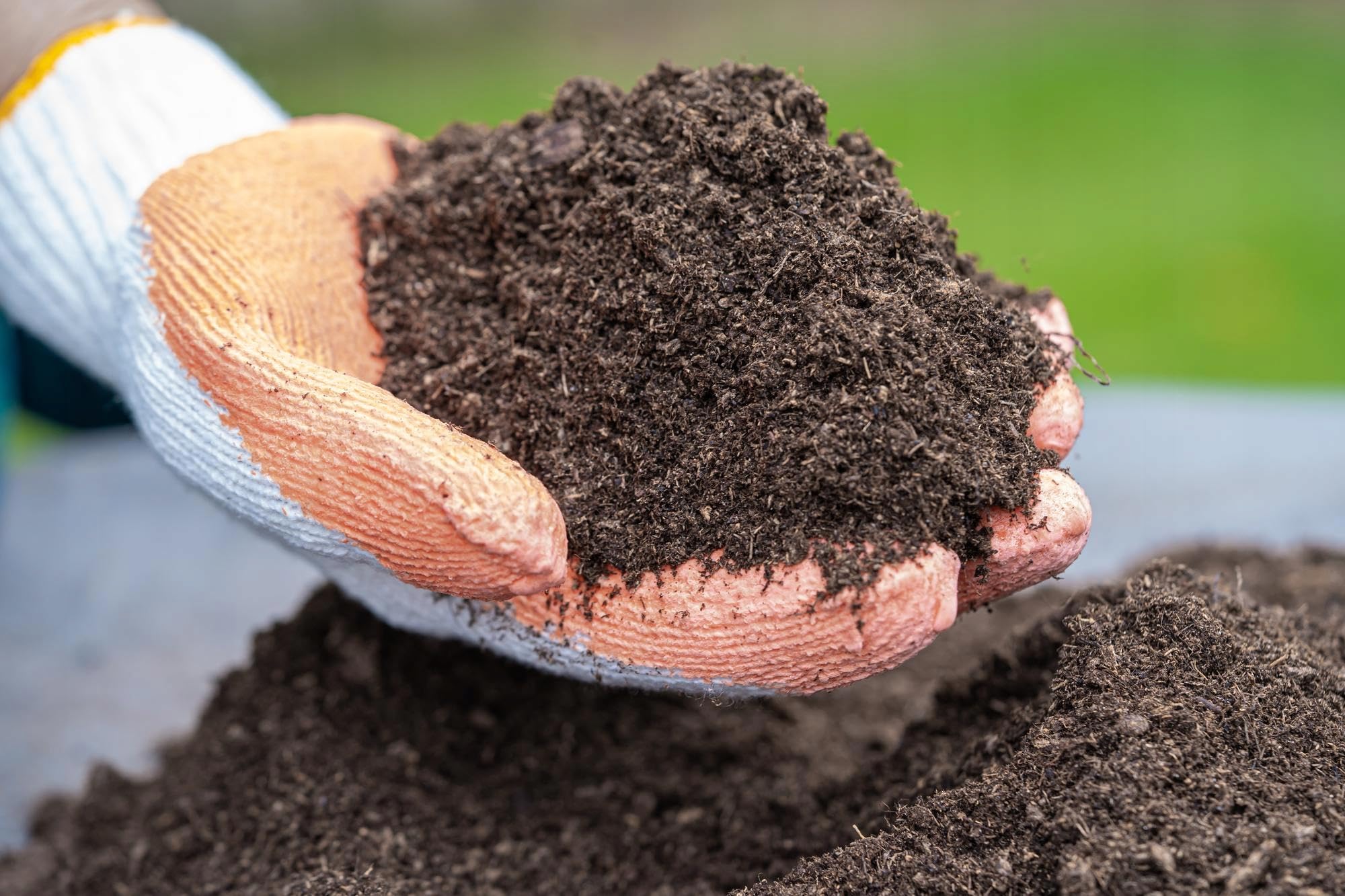 BIOVITA Podłoga uniwersalna 5 l wieloskładnikowa ziemia do roślin gotowa do użycia ziemia naturalne pochodzenia