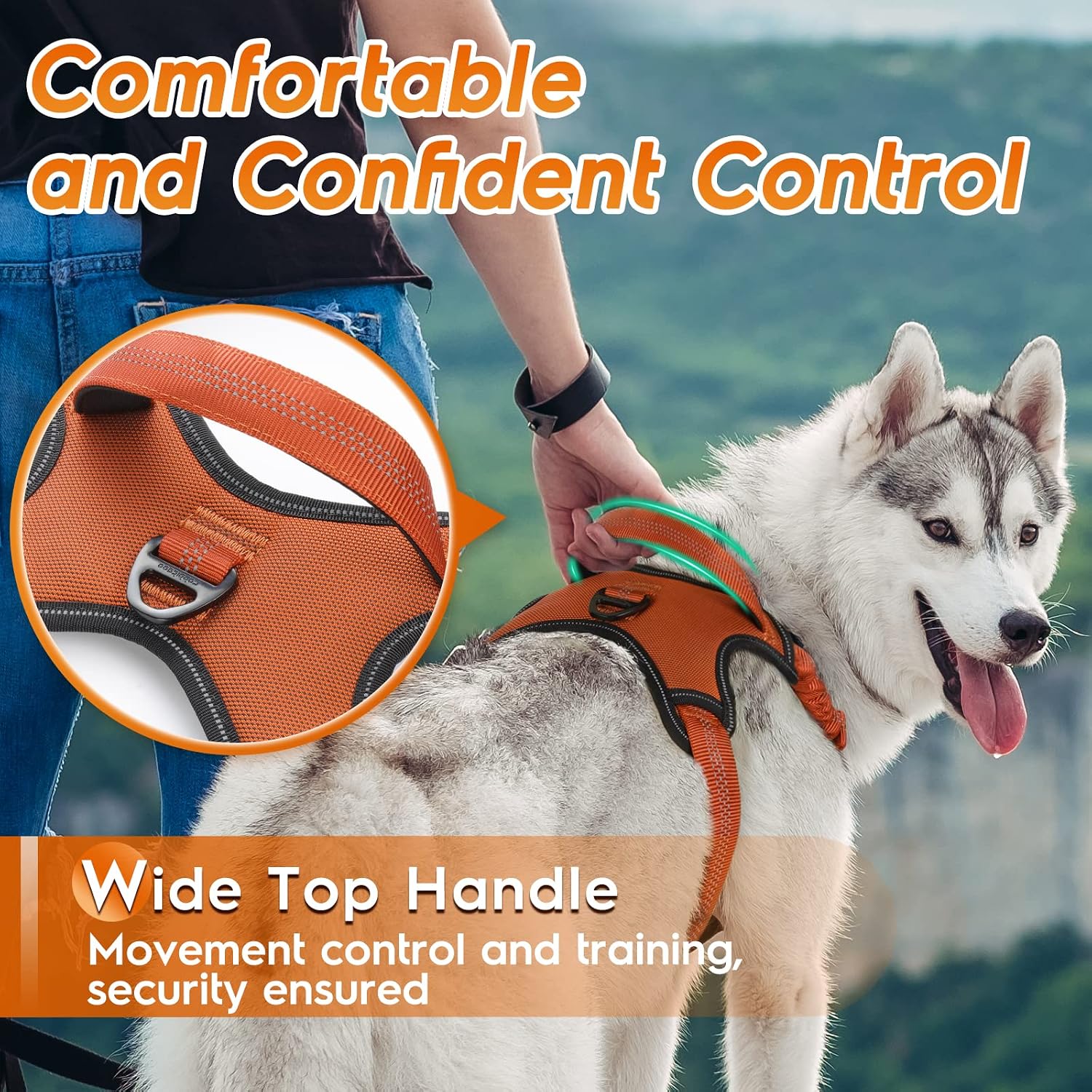 rabbitgoo Dog Harness for Medium Dogs No Pull, Upgrade Escape-Proof Pet Vest Harness, Unique Neck Protect Stretchy Bungee, Durable Nylon Surface, Comfy Soft Safe Control Handle & Reflective