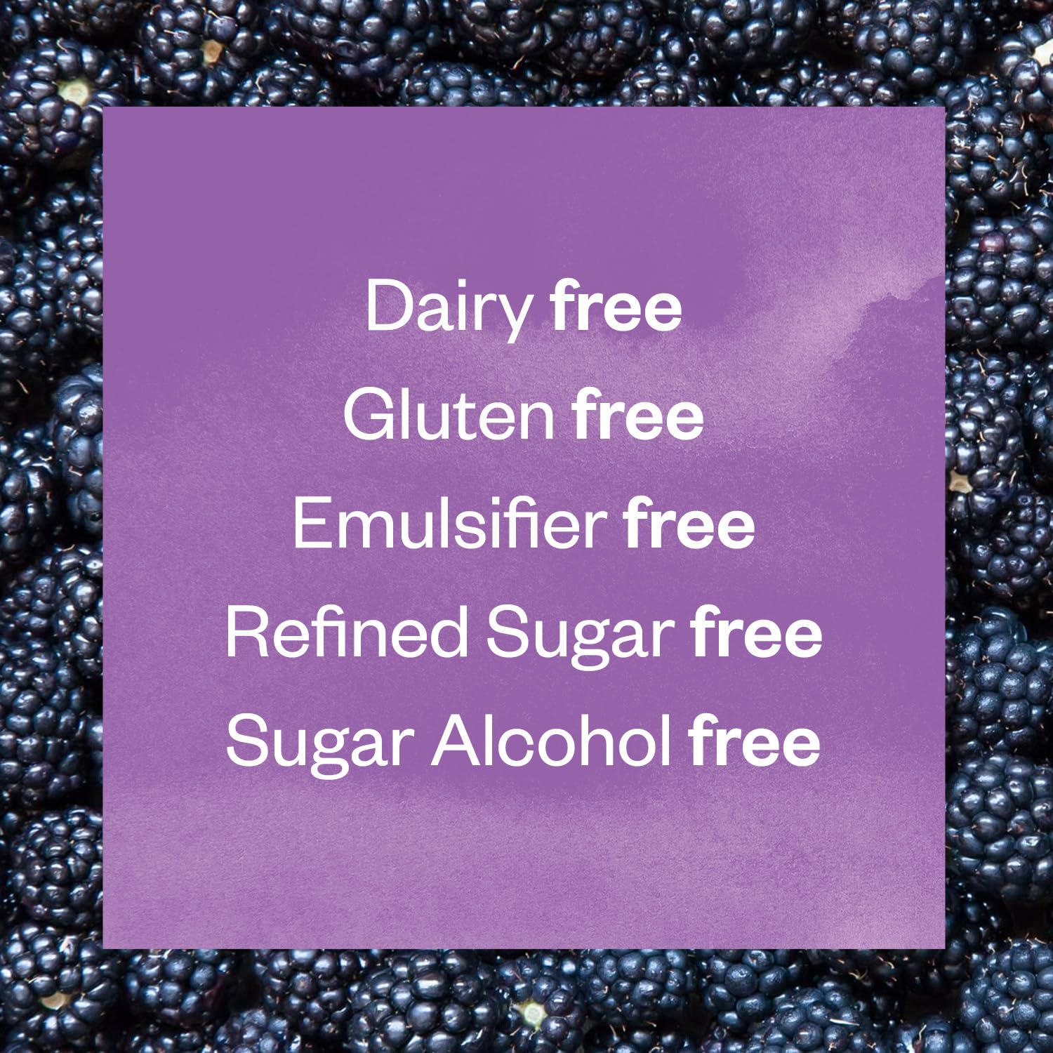 Floura Variety Pack Fruit-Forward Fiber Bars High Fiber Vegan Gluten Dairy Free Low Calorie Healthy Snack Bars with — view 4