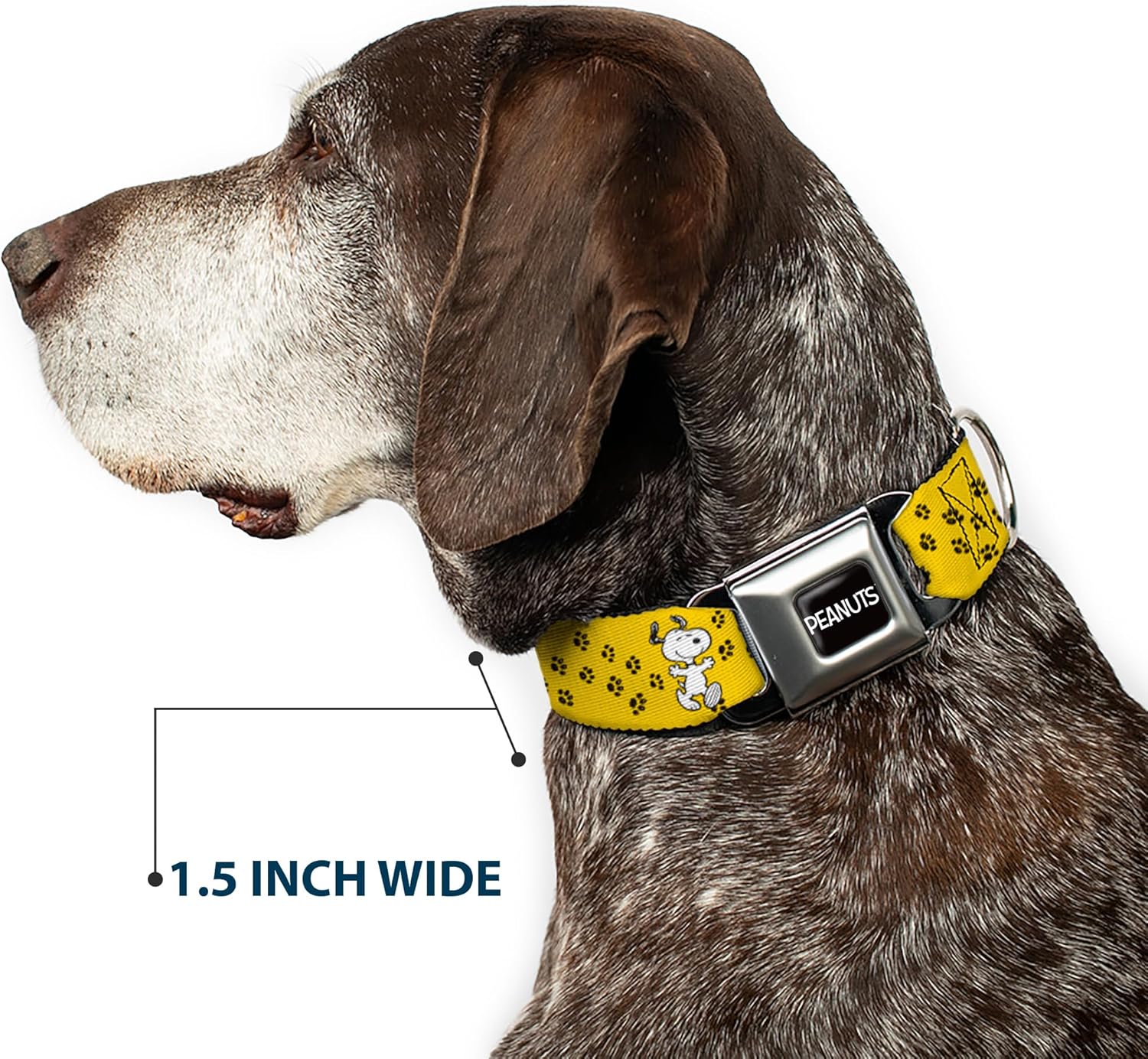 Peanuts Worldwide LLC Pet Collar, Dog Collar Metal Seatbelt Buckle, Peanuts Snoopy Smiling Pose Paw Print Yellow Black White, 11 to 16.5 Inches 1.0 Inch Wide