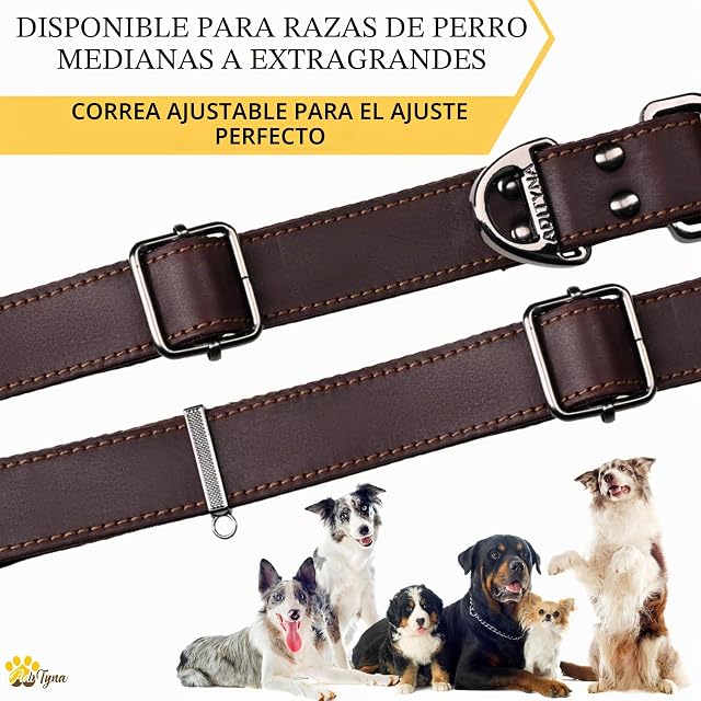 Foto 6 de 8 de ADITYNA Collar de Cuero para Perro con Hebilla de Metal, Resistente