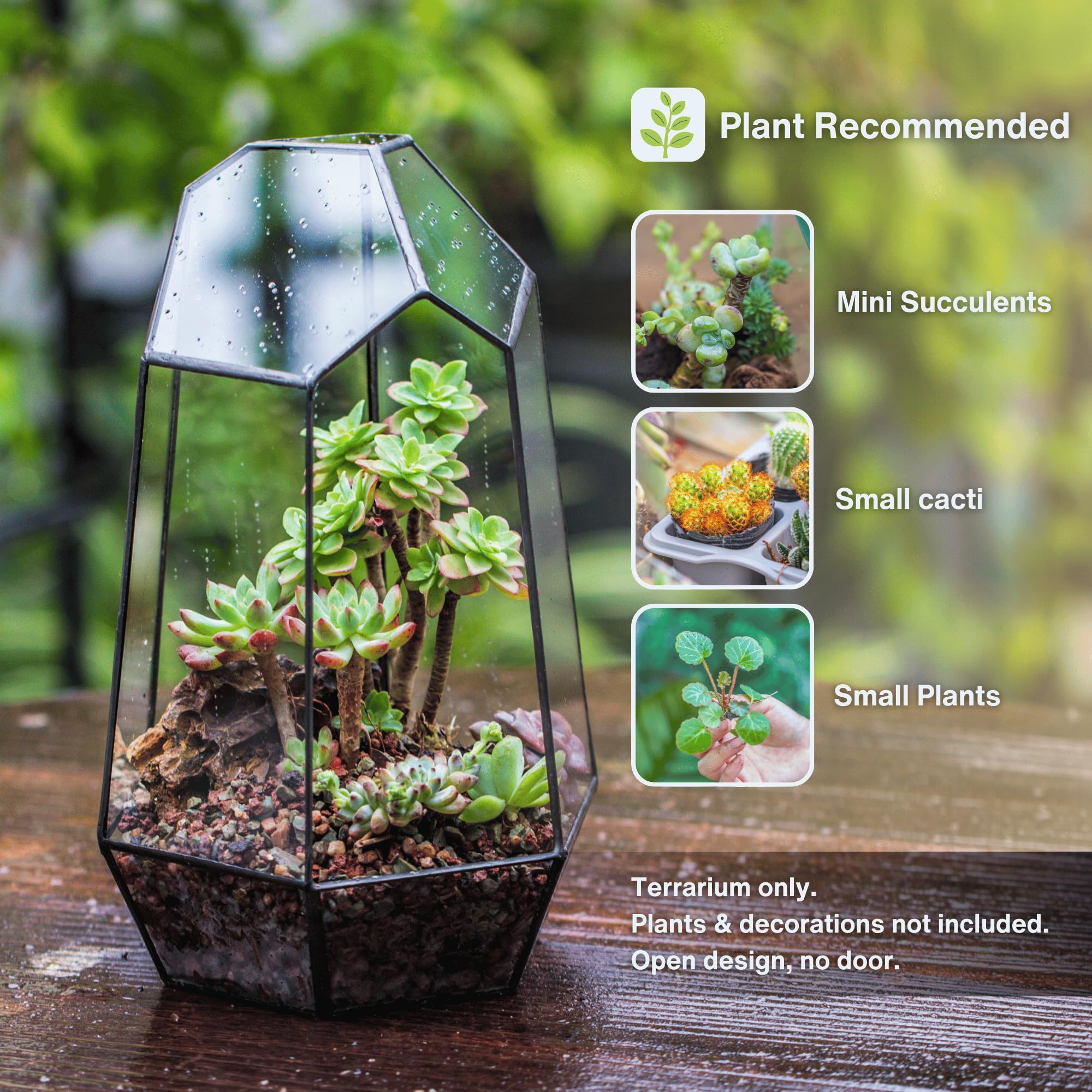 Amazon.com: NCYP No Door Geometric Glass Terrarium Planter for