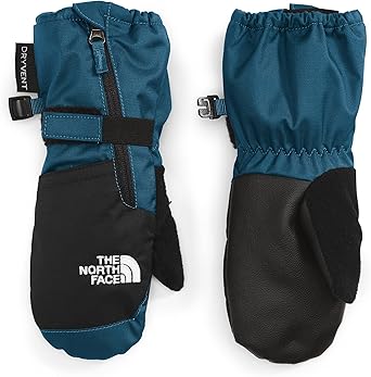 the north face 2t