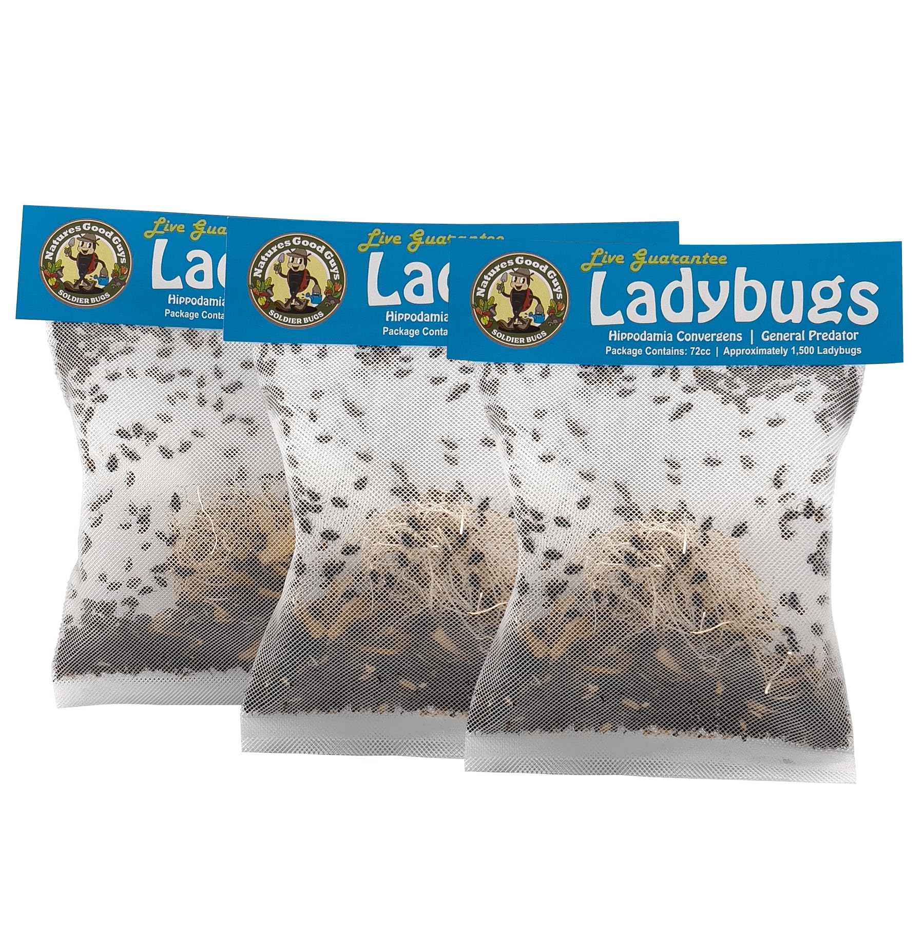 NaturesGoodGuys 4,500 Live Ladybugs