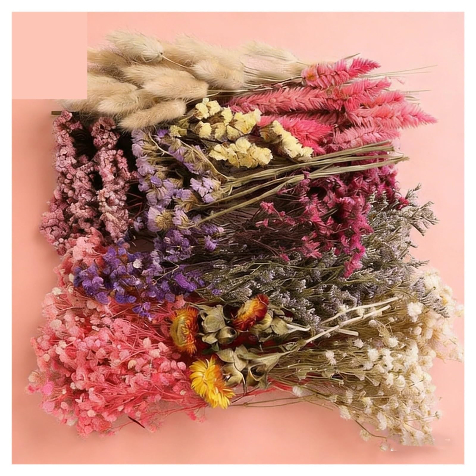 gypsophile séché Boîte de matériel Fleurs séchées mélangées, Mini Petit Bouquet, boutonnière Mariage, Souvenirs, diverses Plantes, boîte Florale(Color3)